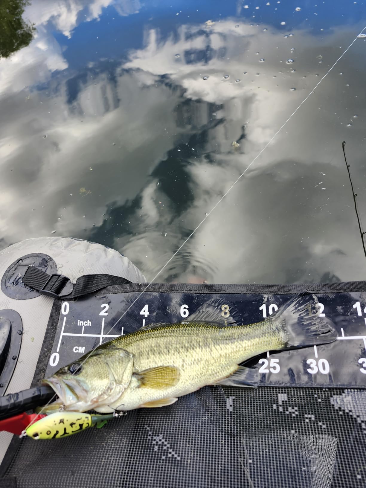 B07JCZCNK2 Customer Photo 1