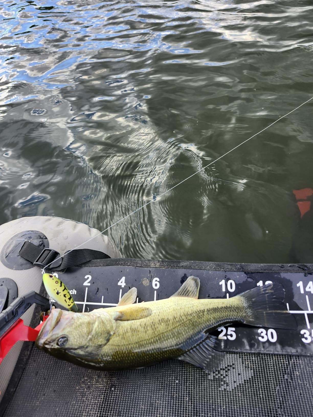 B07JCZCNK2 Customer Photo 2