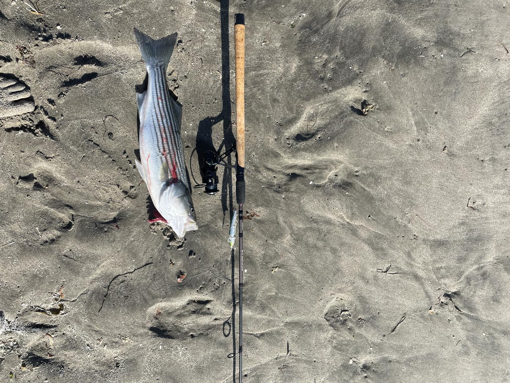 B07MMZGZV8 Customer Photo 2