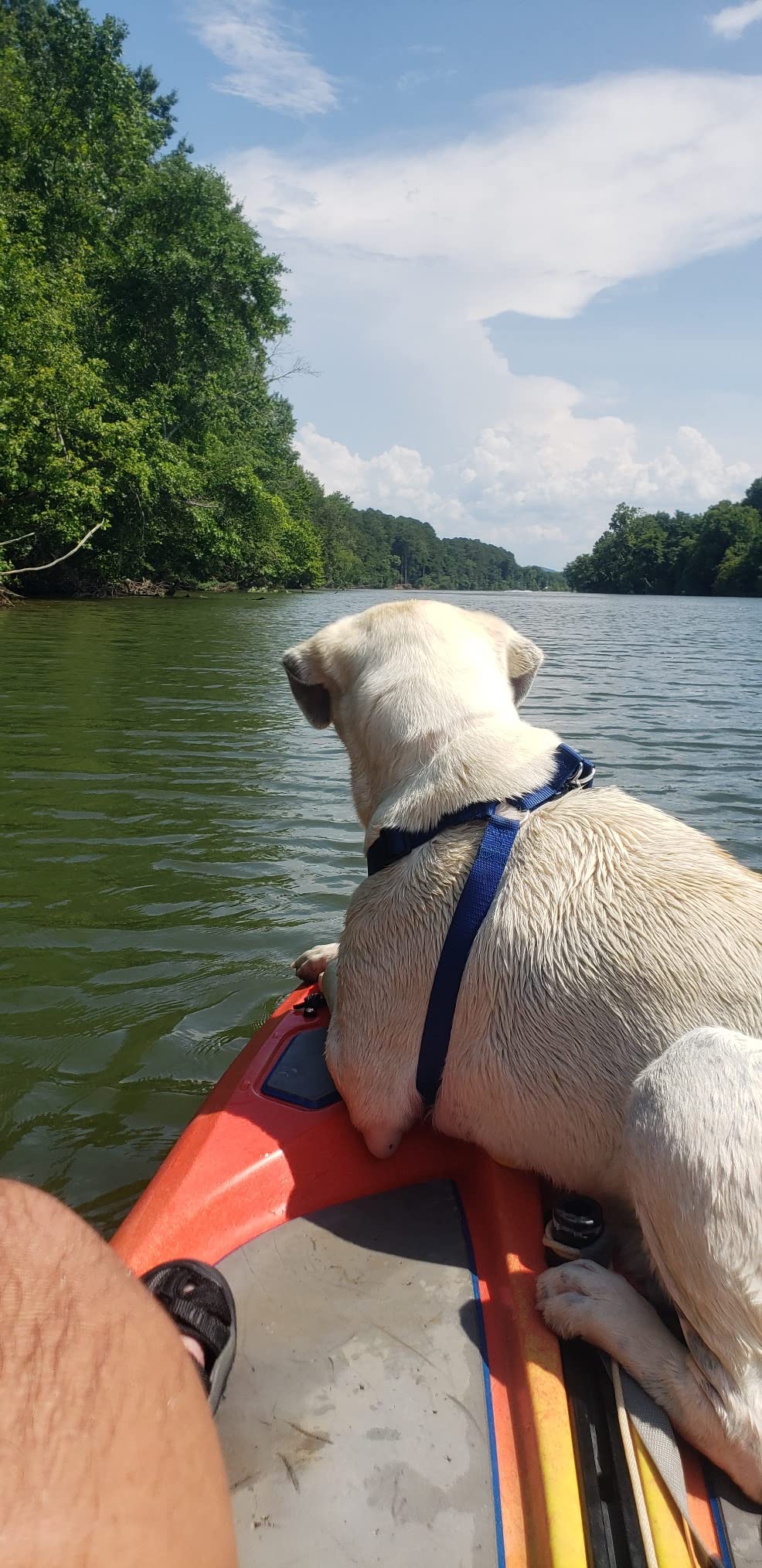 B07WJYQFZN Customer Photo 1