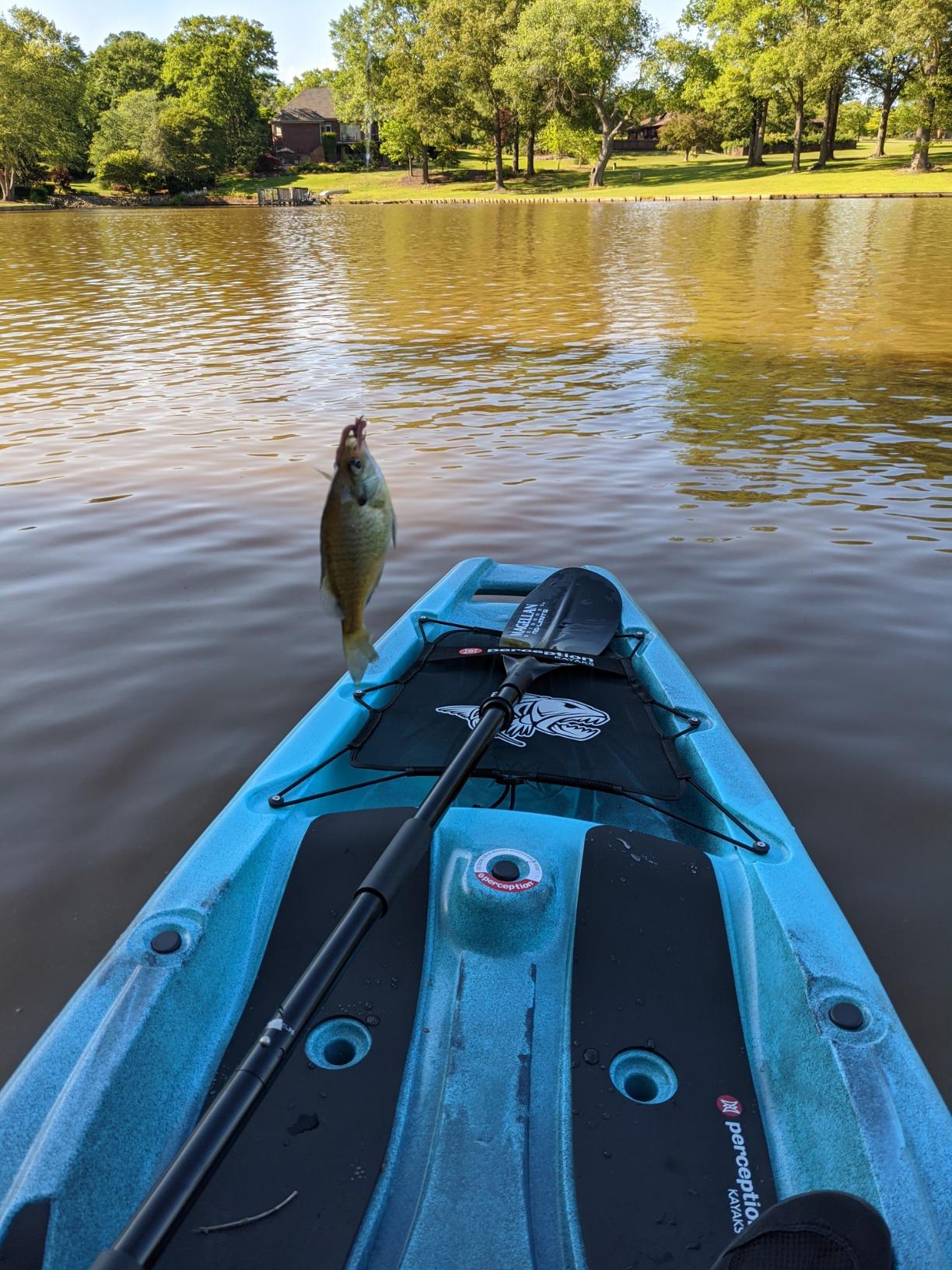 B07YF75XQW Customer Photo 1