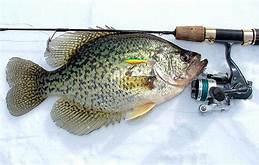 B07ZCR4RF6 Customer Photo 1