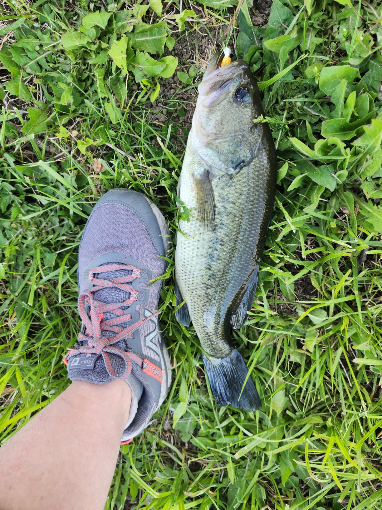 B081ZF5X3Y Customer Photo 1