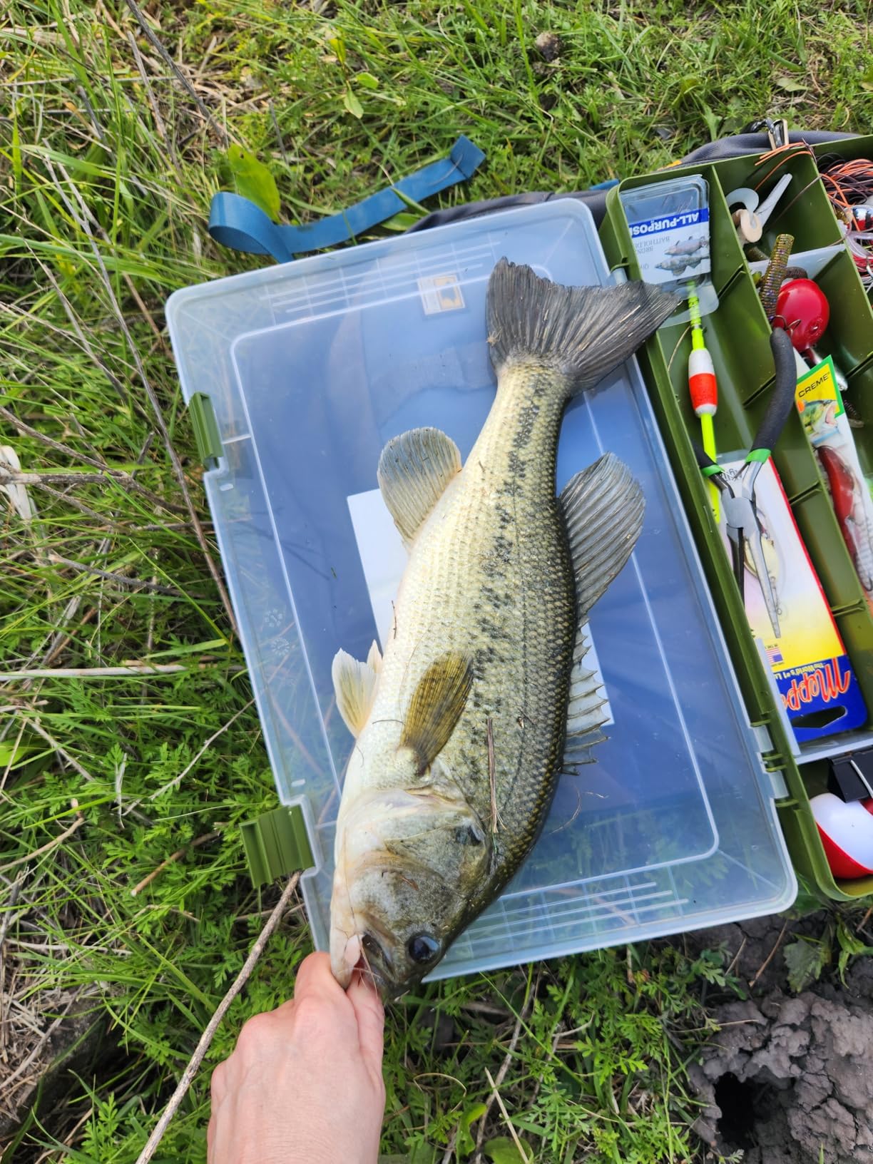 B081ZF5X3Y Customer Photo 2