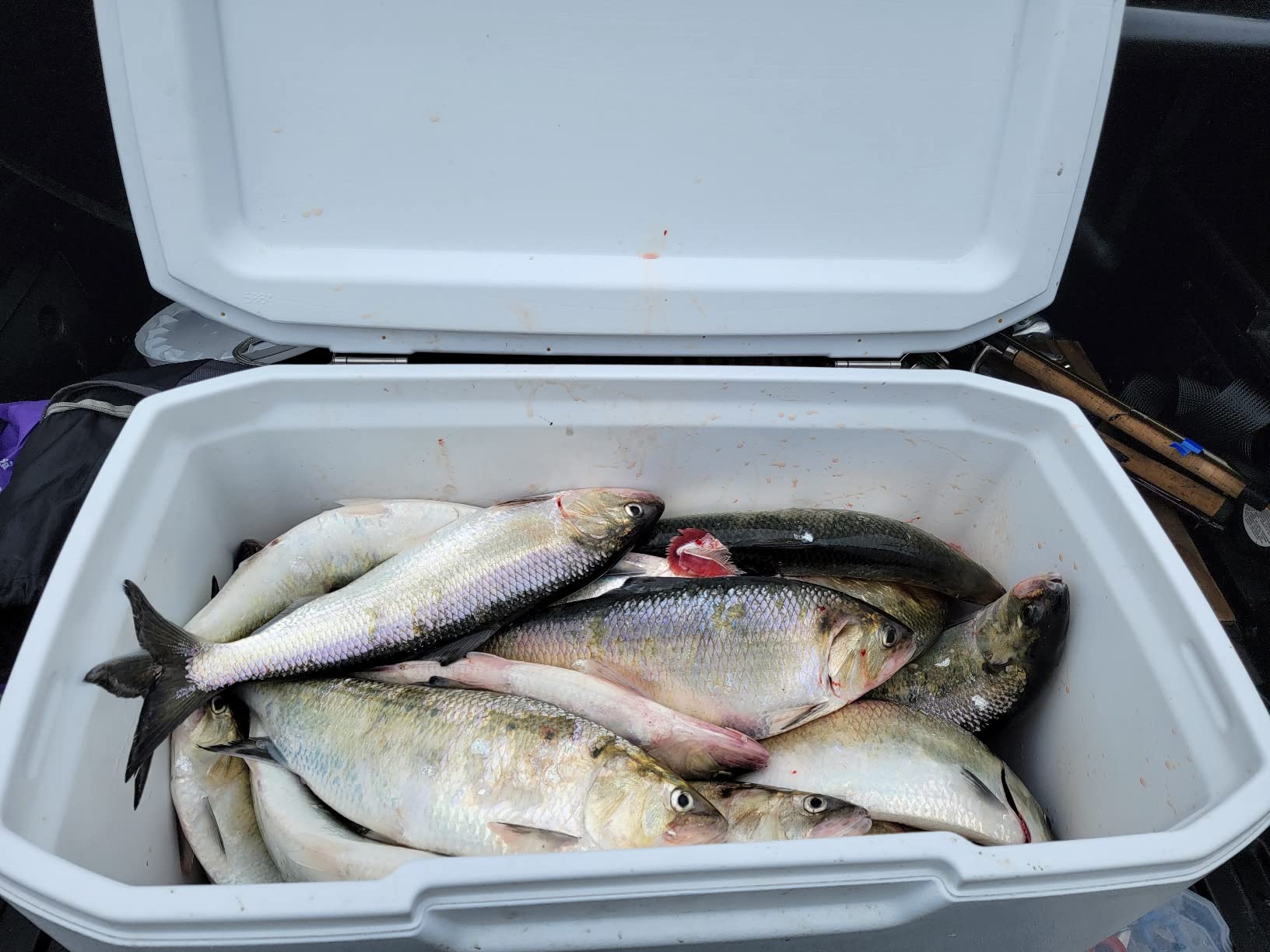 B0863WVKZD Customer Photo 2