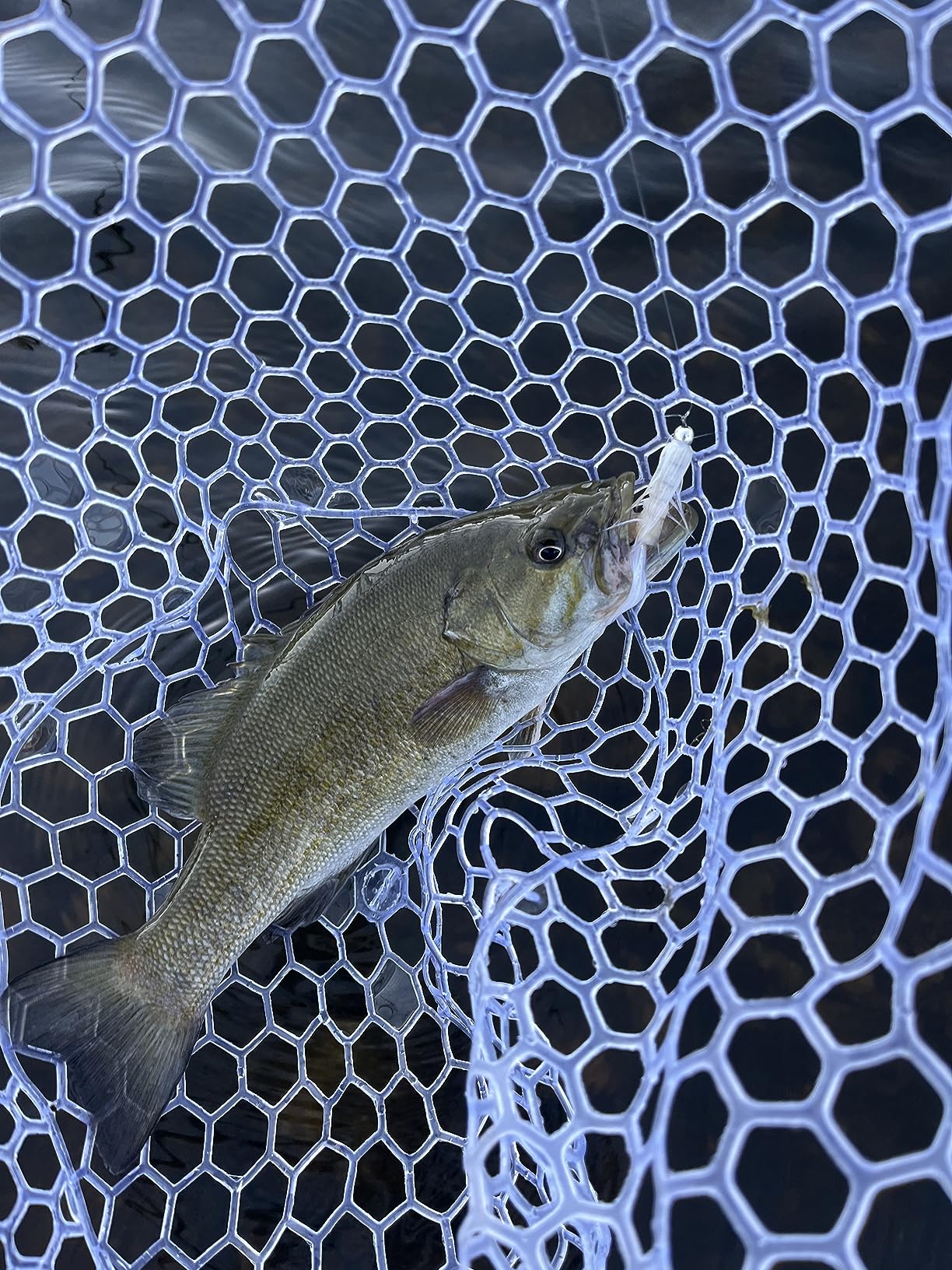 B0875Z725T Customer Photo 2