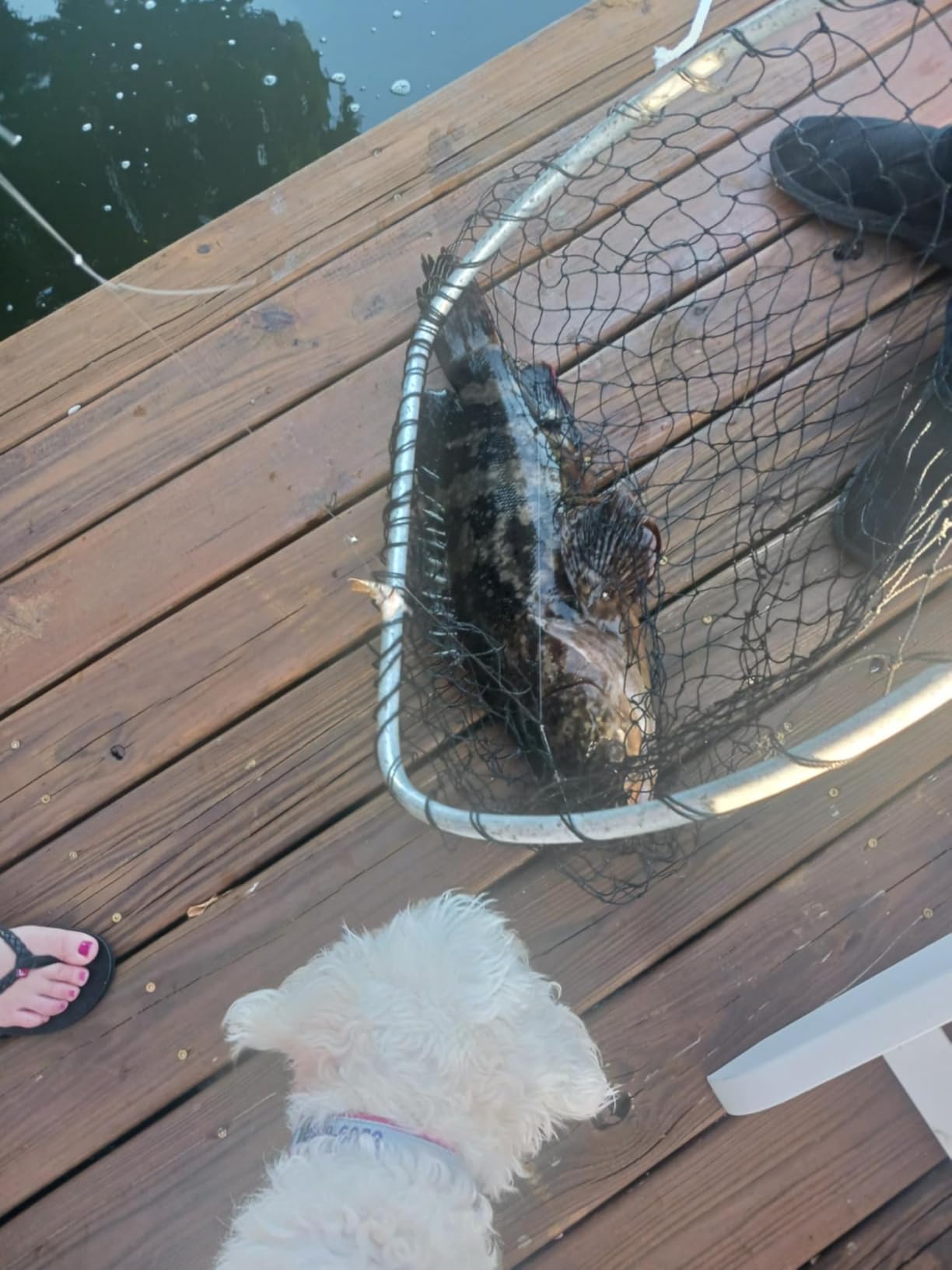 B087CWWW35 Customer Photo 2