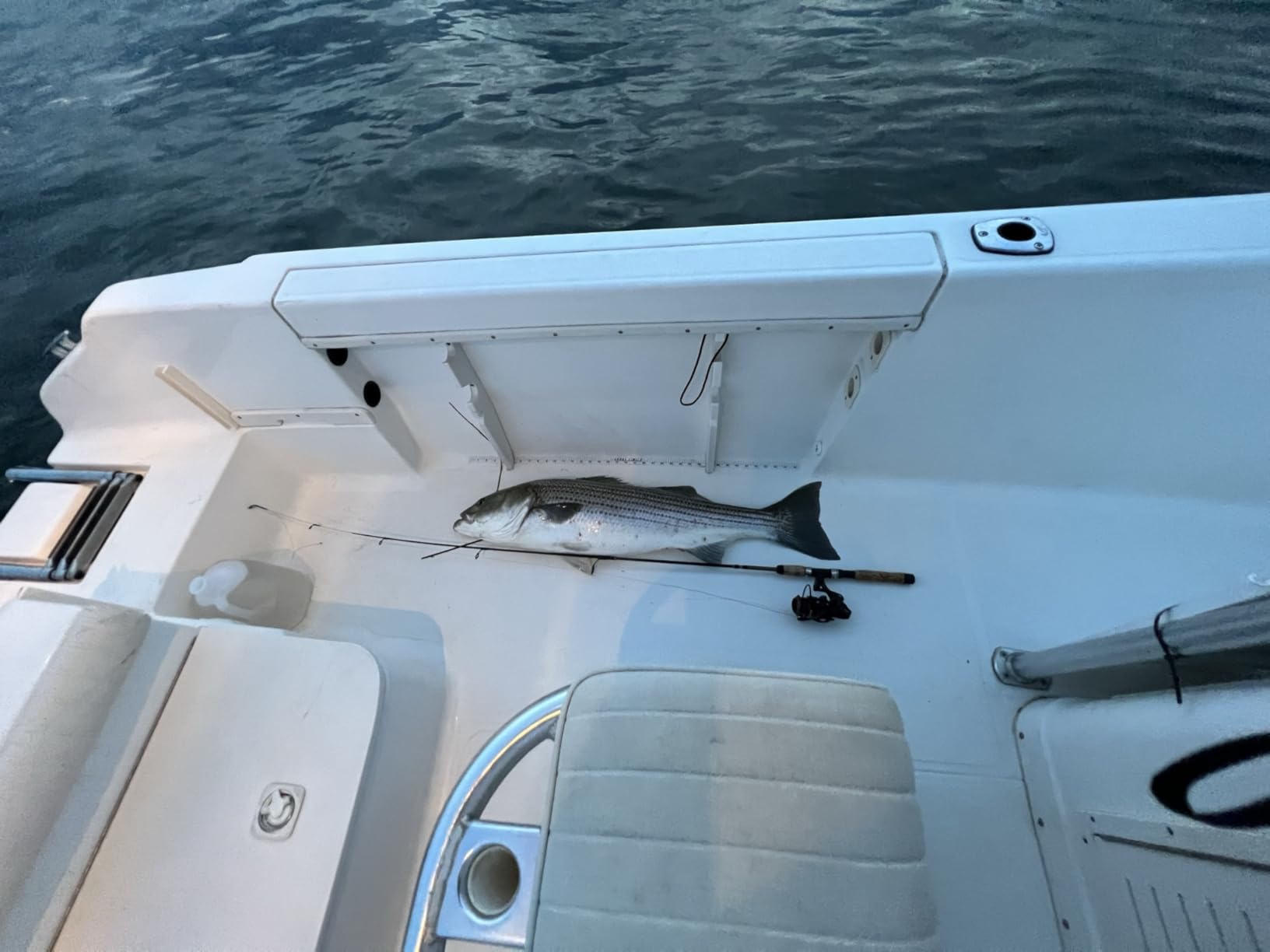 B088BD7DGJ Customer Photo 1