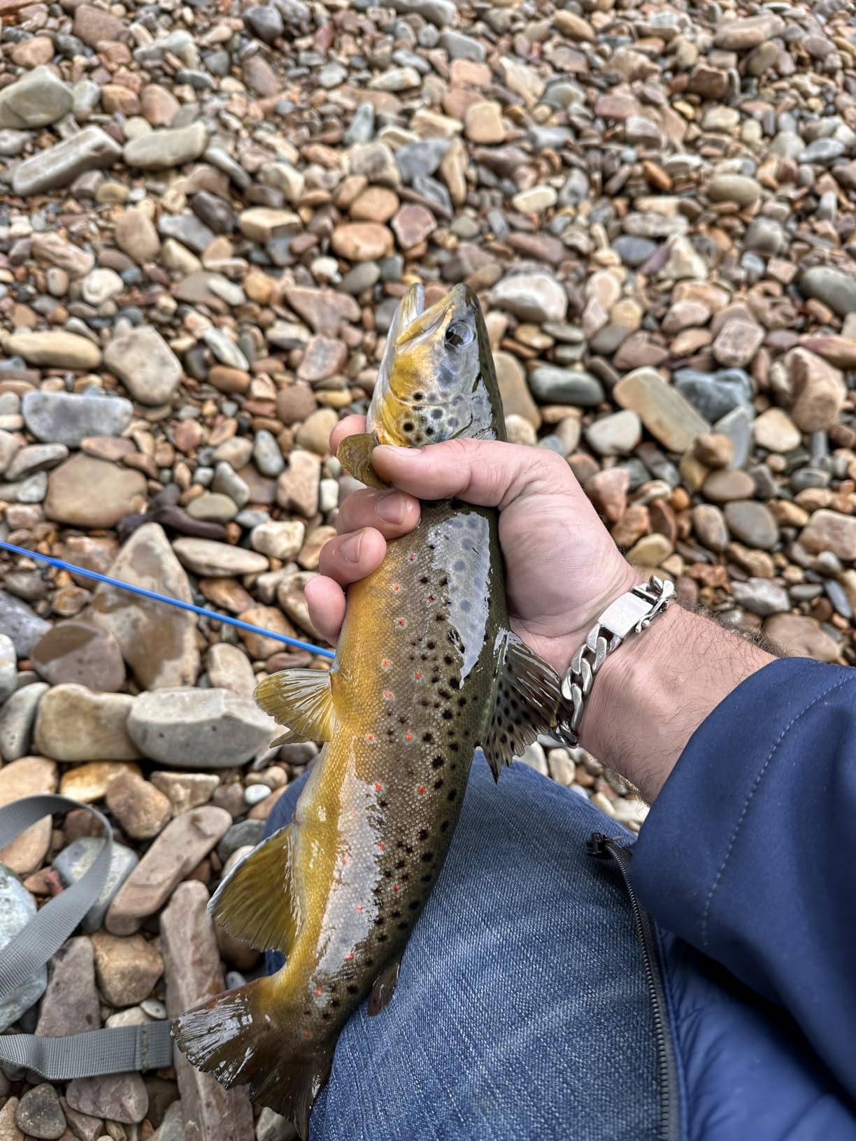 B088R3MB6B Customer Photo 1