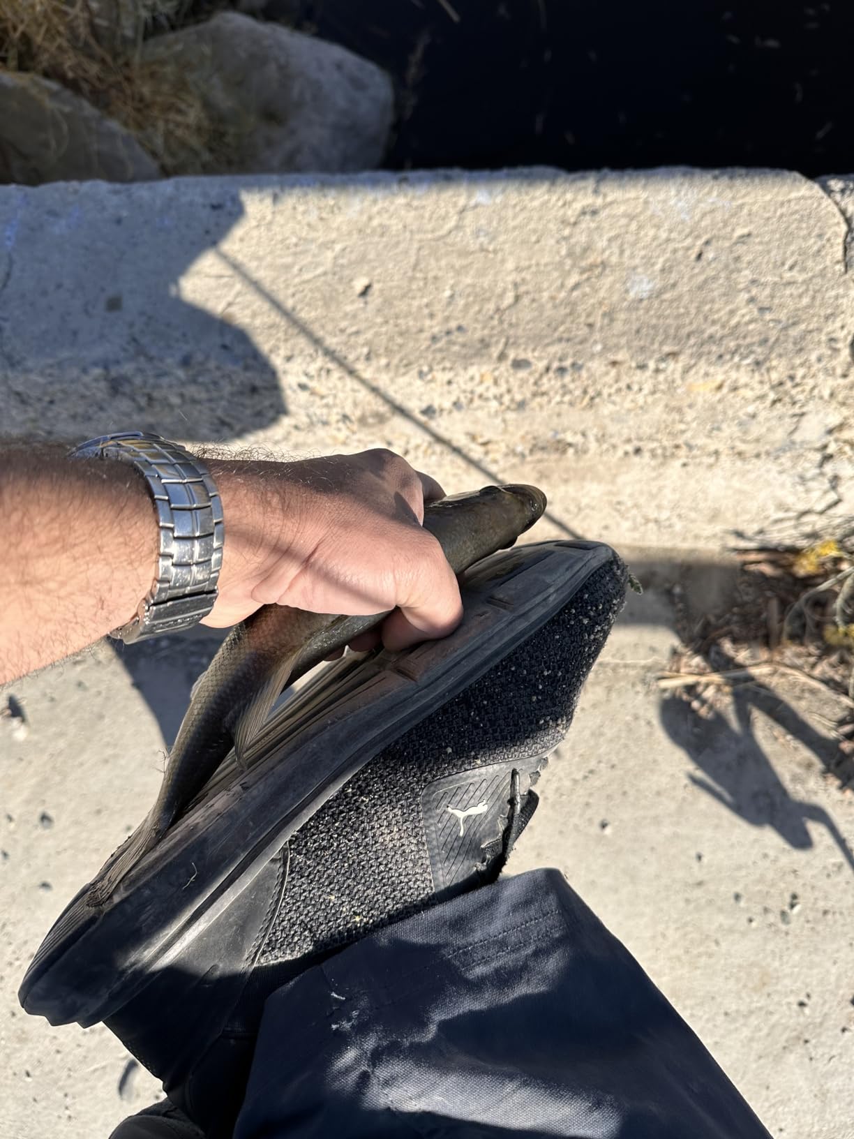 B088R3MB6B Customer Photo 2