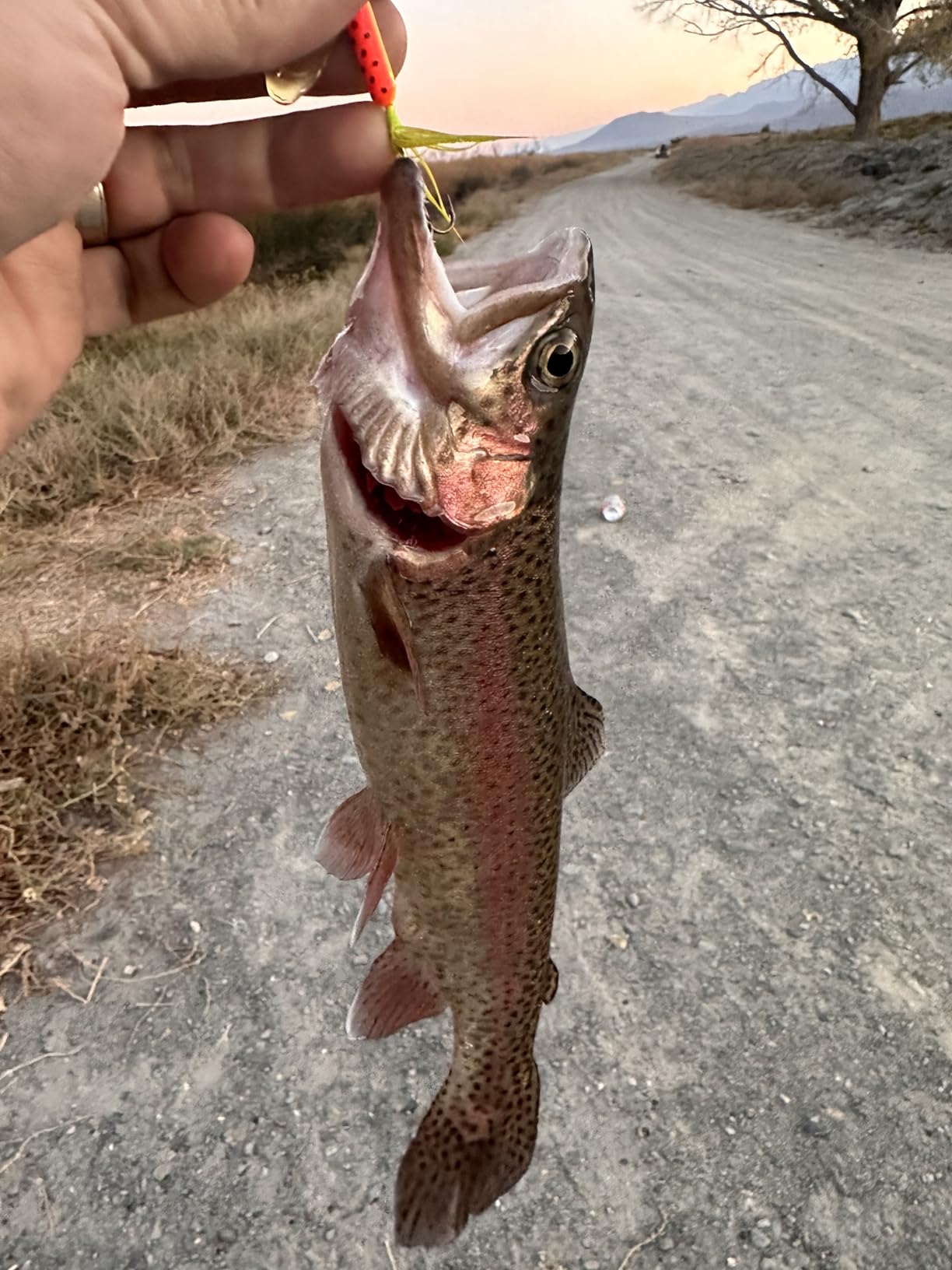 B088R3MB6B Customer Photo 3