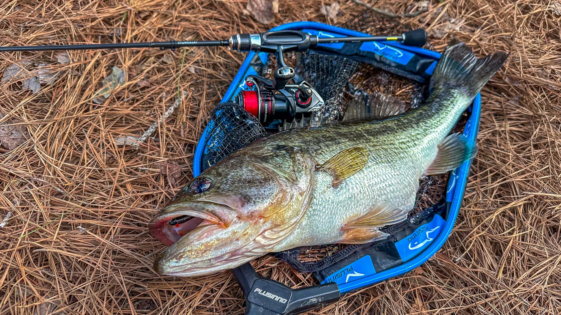 B089CZWVV1 Customer Photo 1