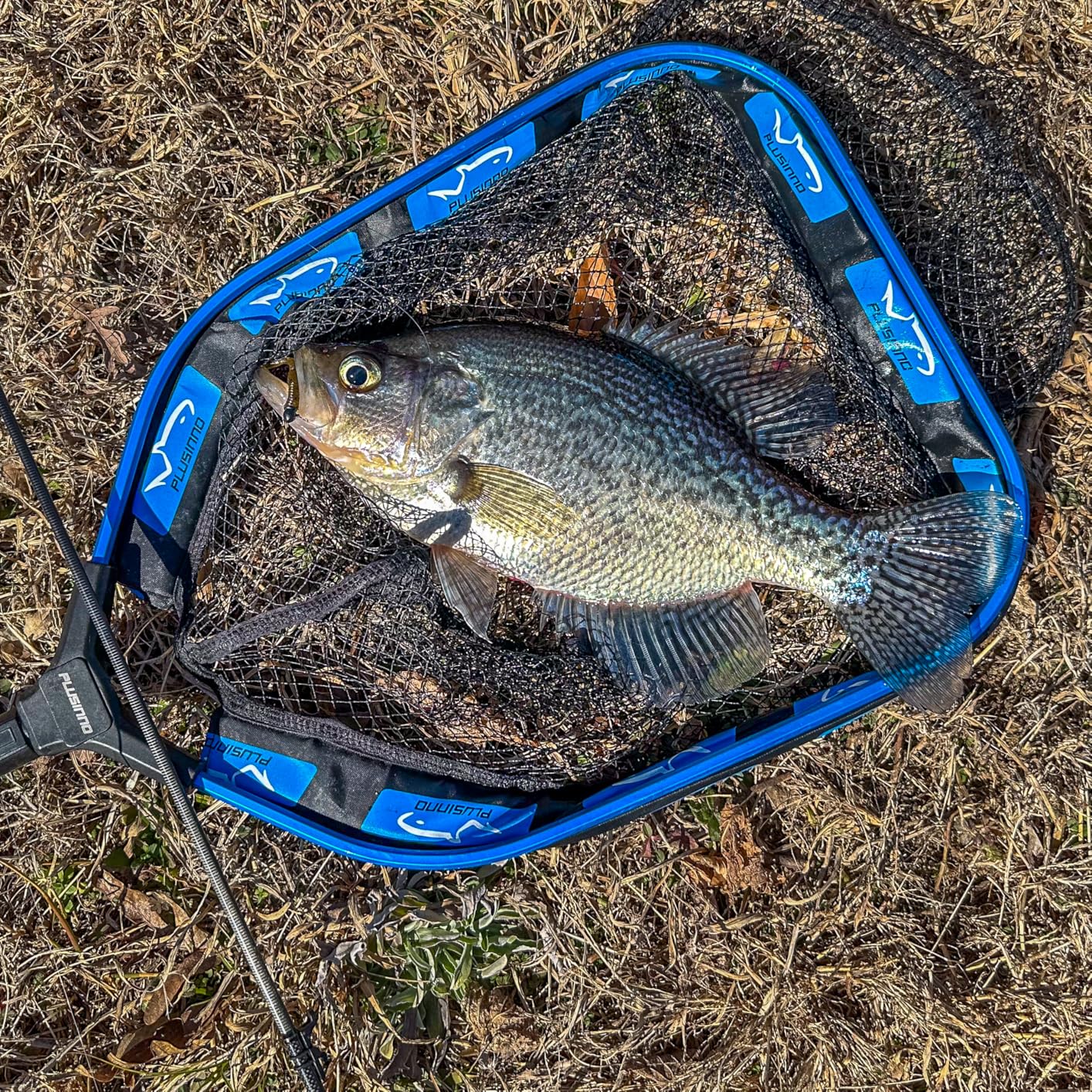 B089CZWVV1 Customer Photo 2