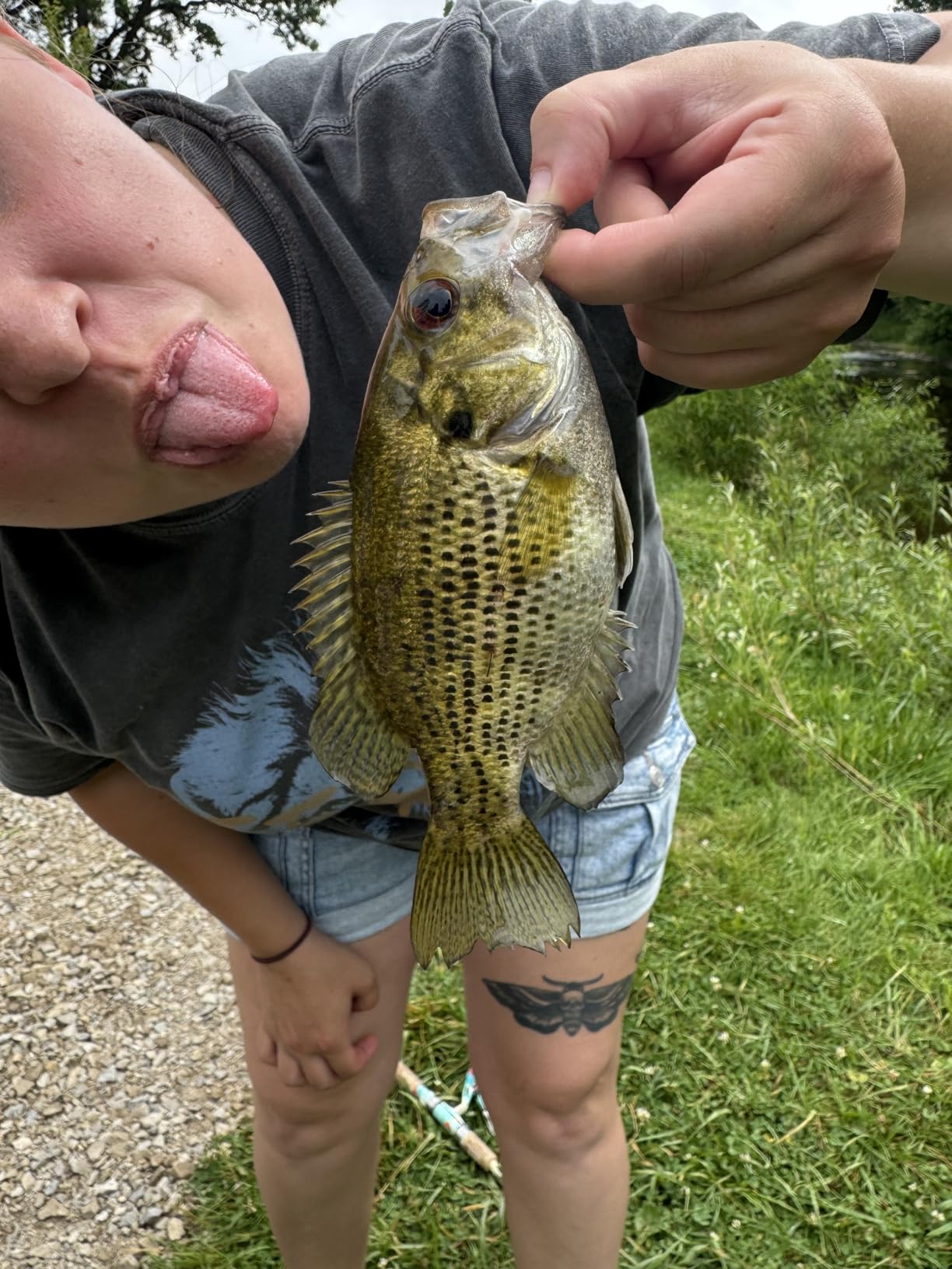 B08D3SF1R6 Customer Photo 1