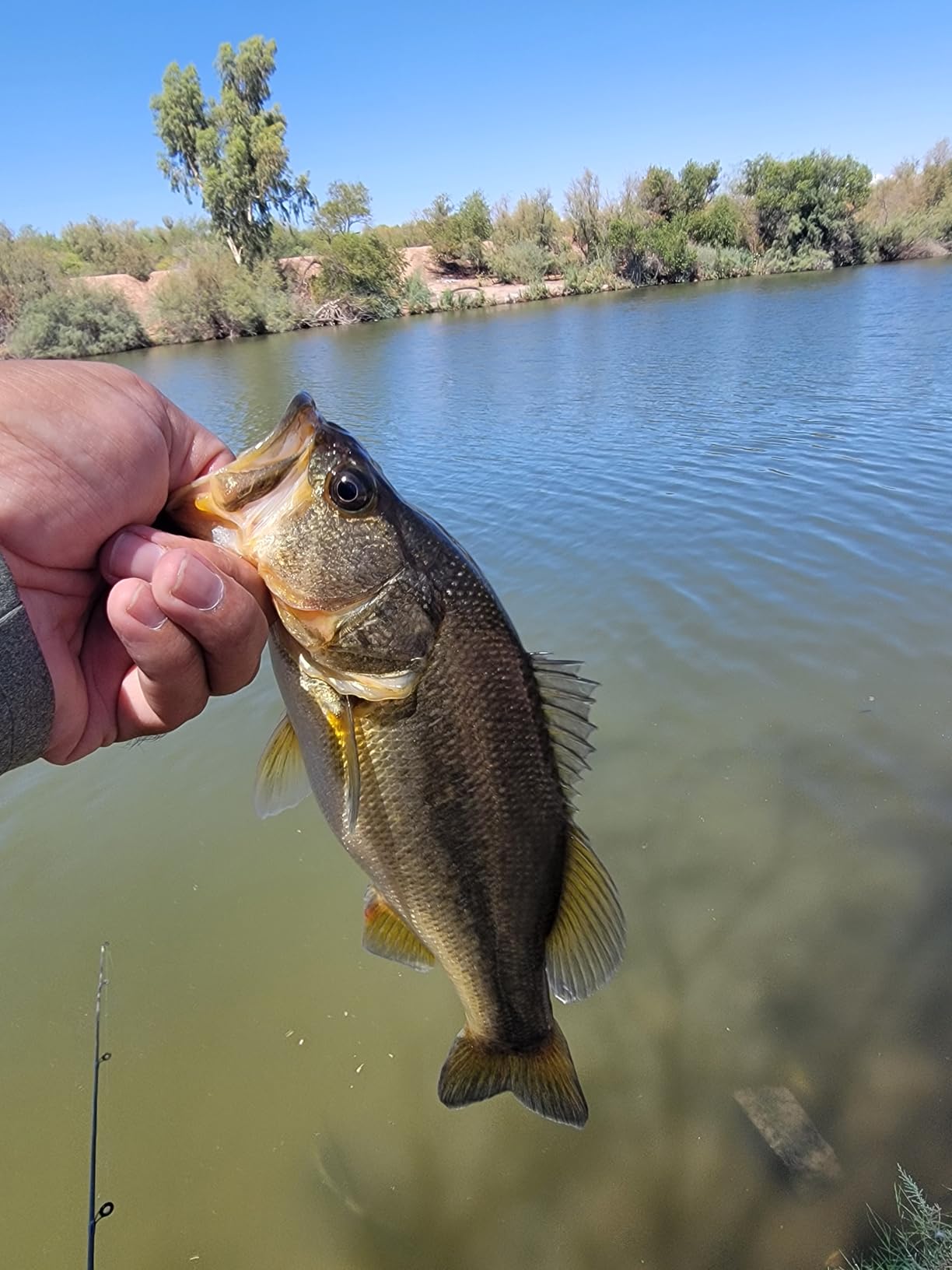 B08HCJL7R4 Customer Photo 2