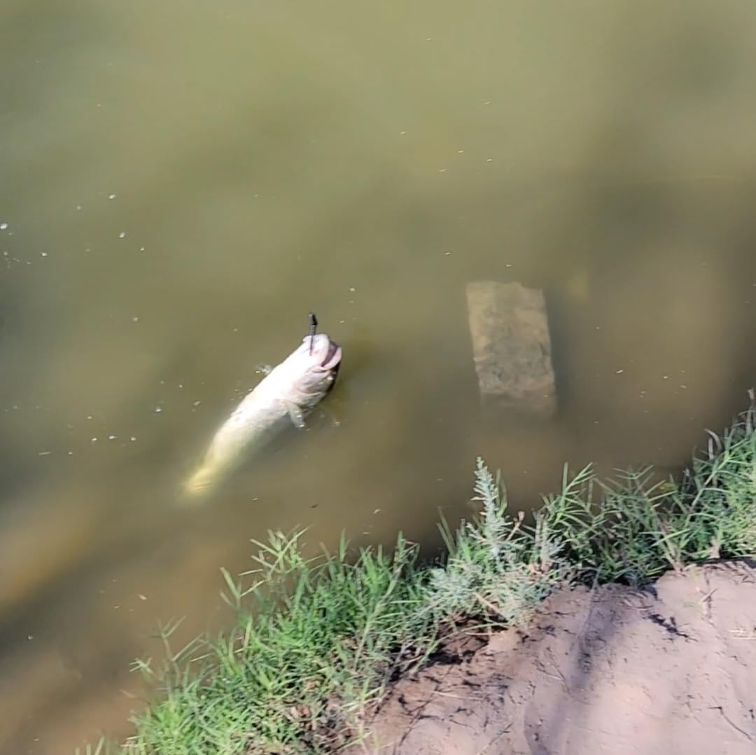 B08HCJL7R4 Customer Photo 3