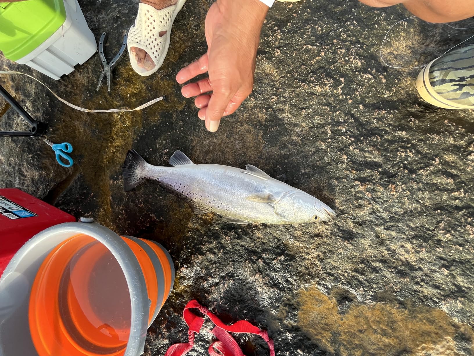 B08KGZN3KZ Customer Photo 1