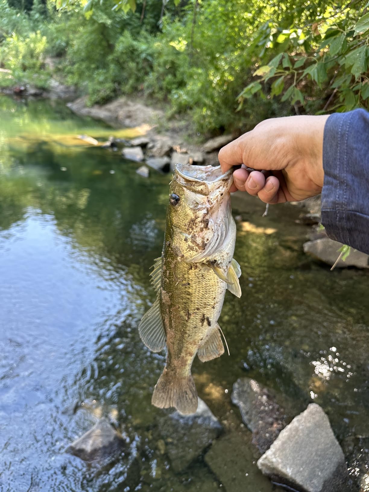 B08RJZBT3K Customer Photo 1