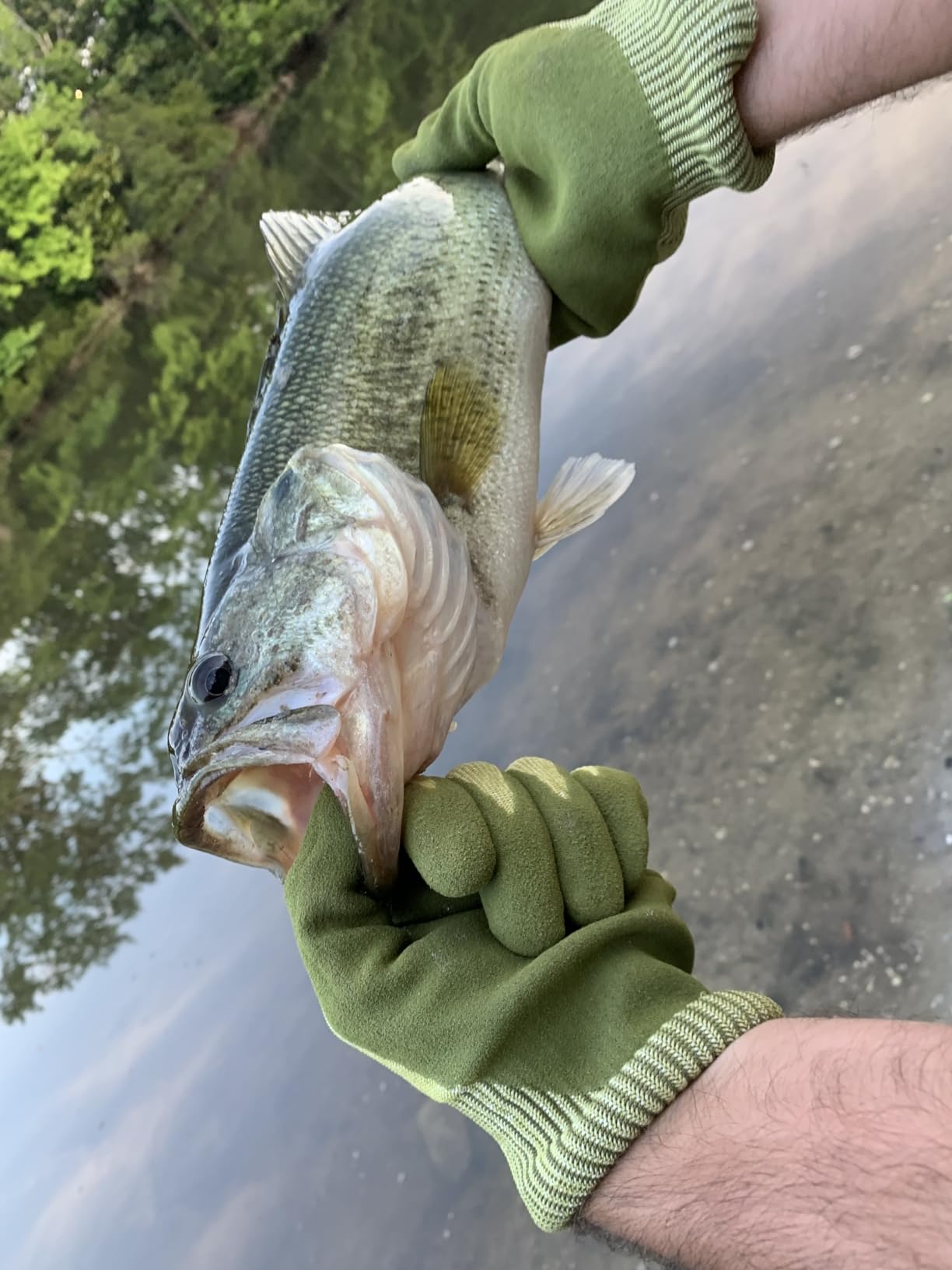 B08T1FKL9Z Customer Photo 2