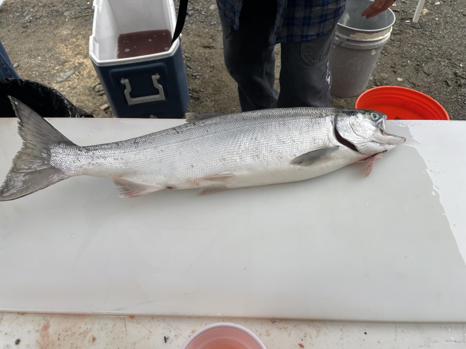 B08VNKR9GN Customer Photo 2