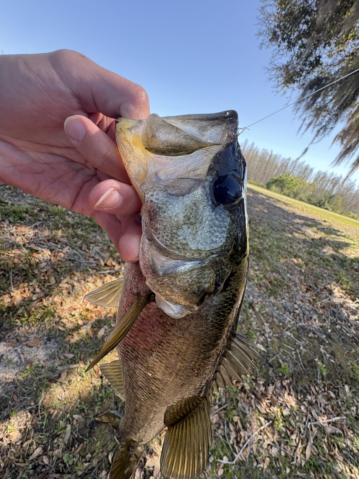 B08W2Z6VT8 Customer Photo 2