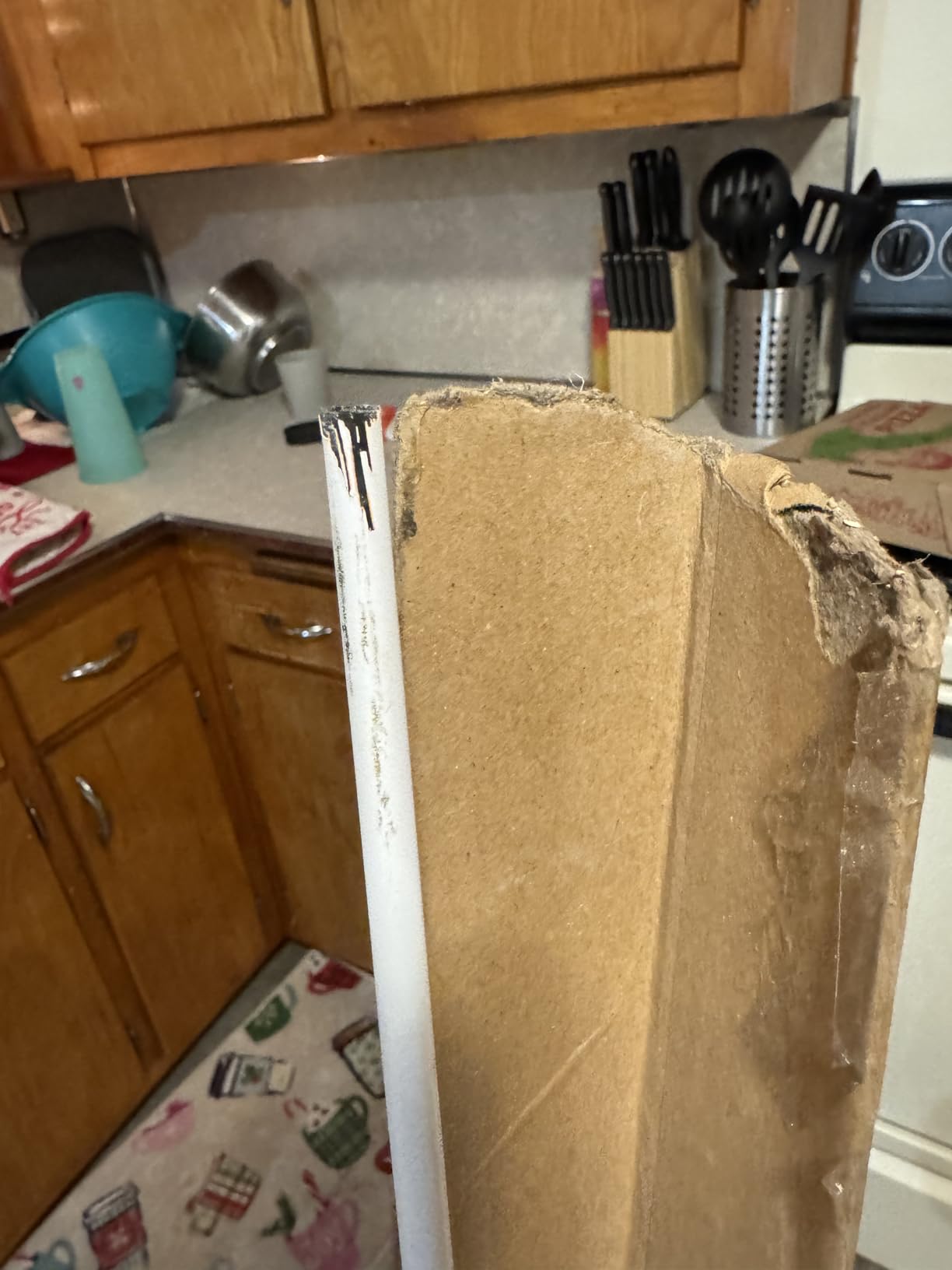 Abu Garcia Pro Max & Max Pro Low Profile Baitcast Reel and Fishing Rod Combo - Customer Photo 1