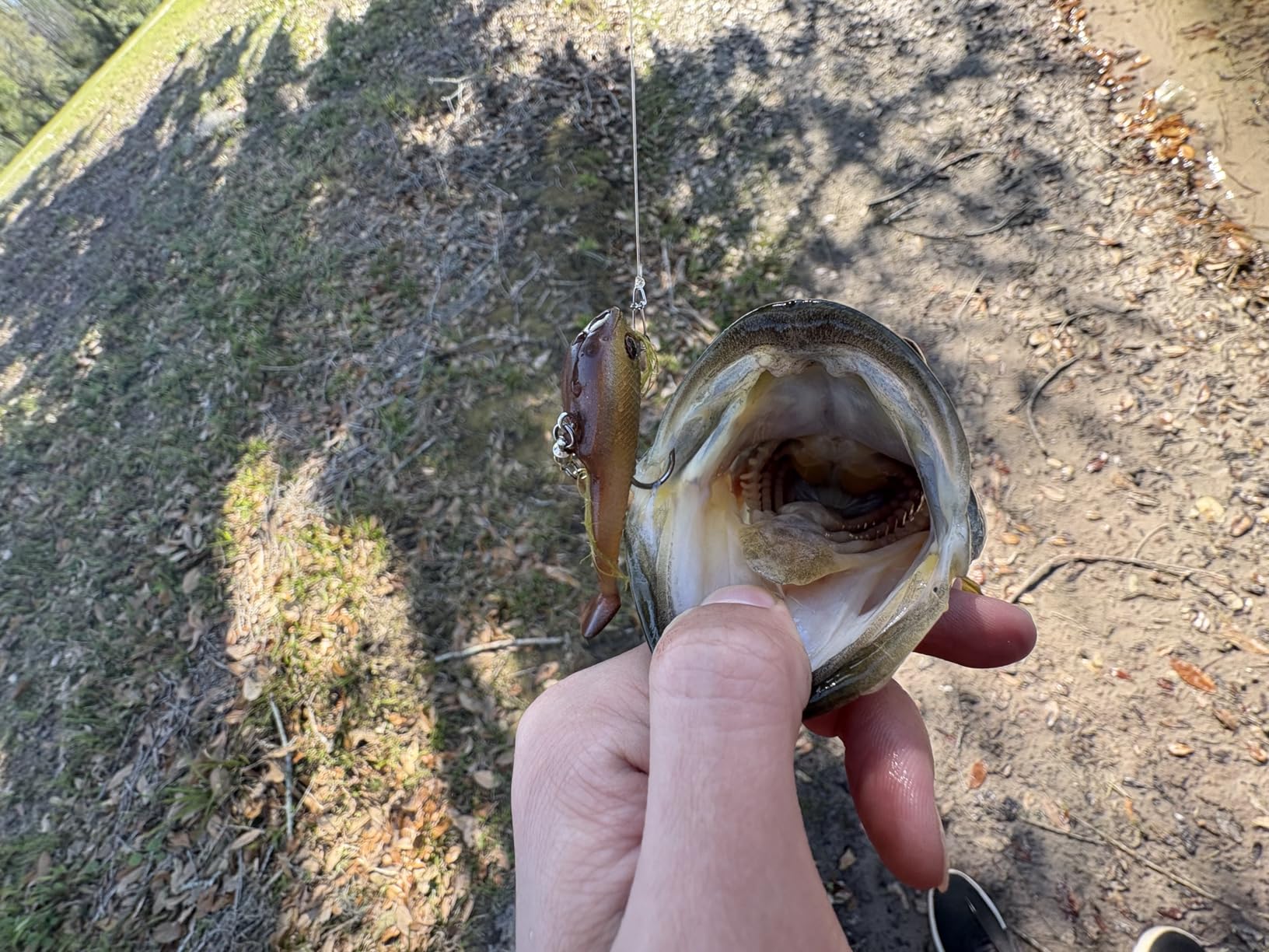 B08X6Q799C Customer Photo 2