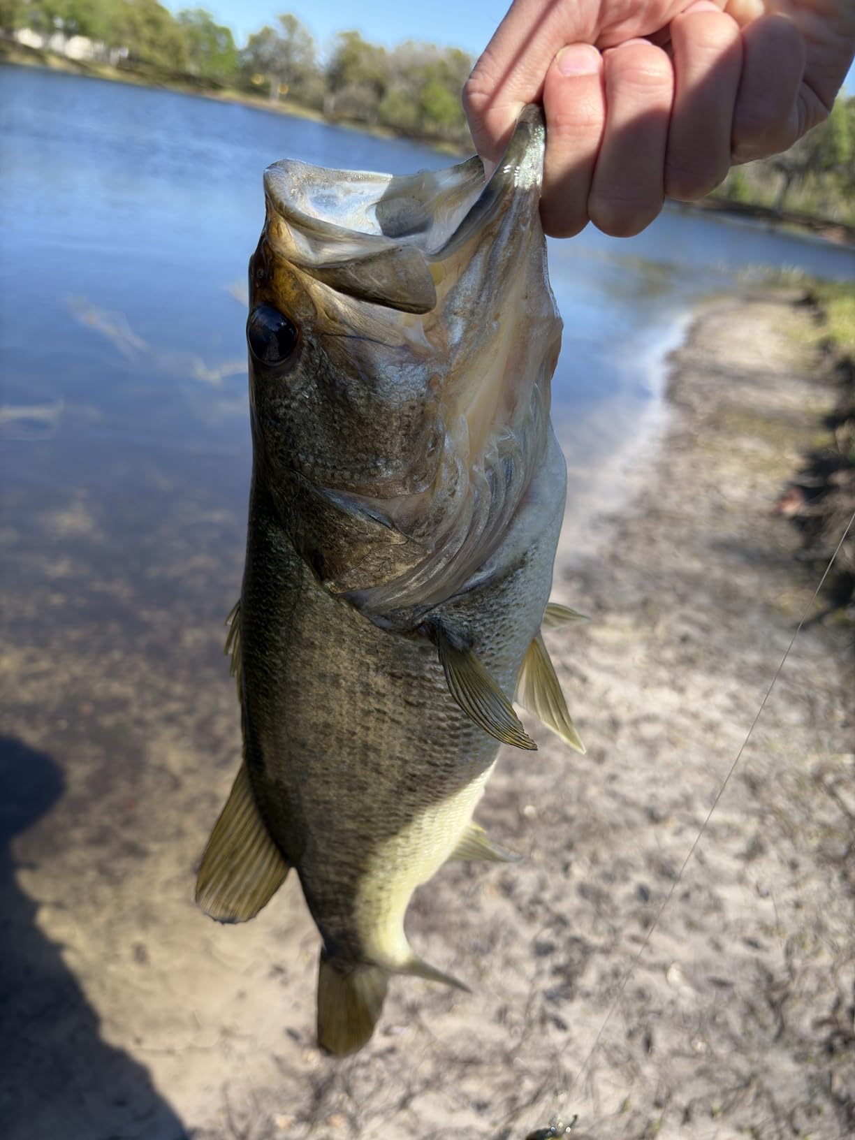 B08X6Q799C Customer Photo 3