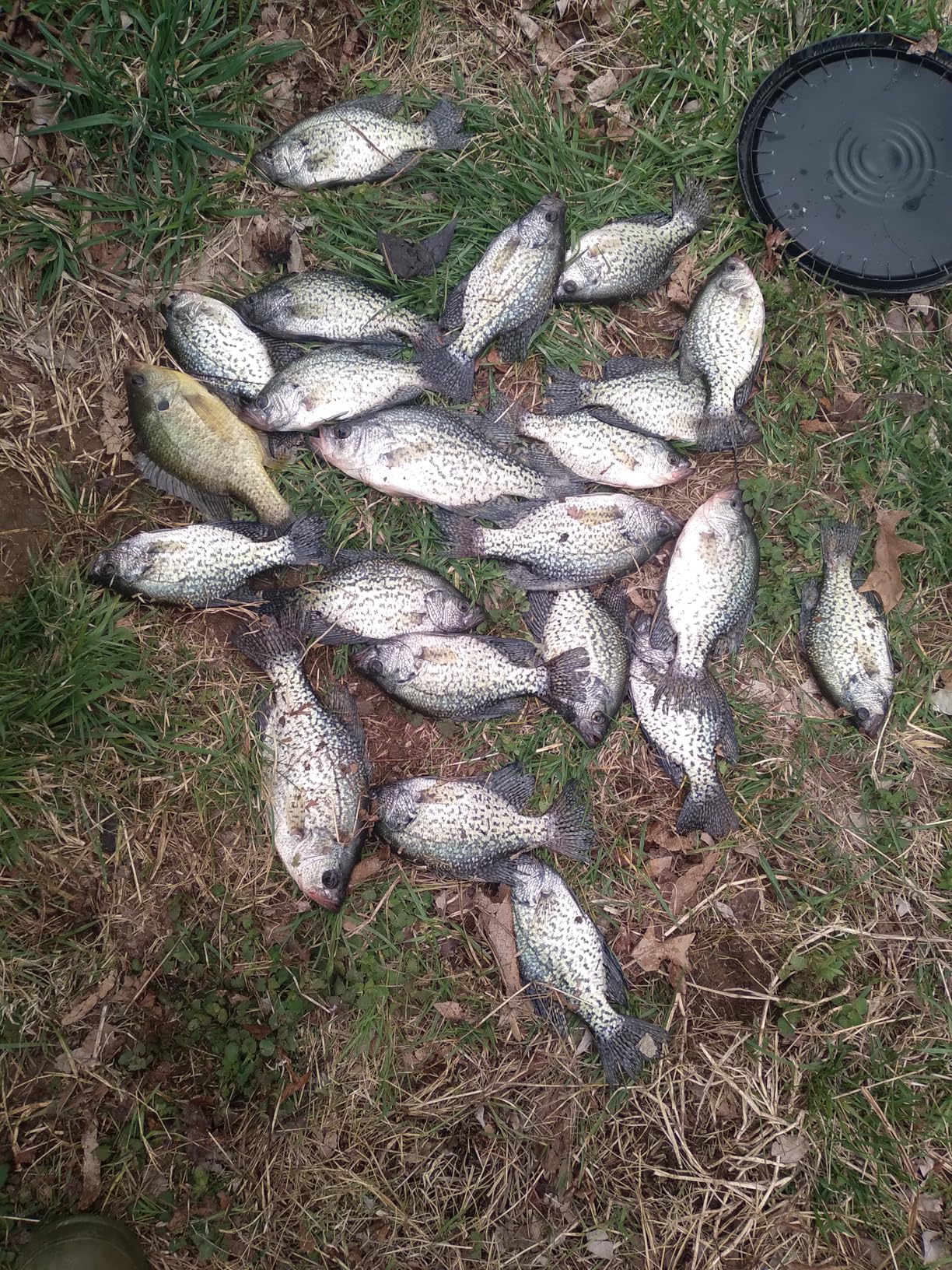 B08ZLTZ5C2 Customer Photo 1