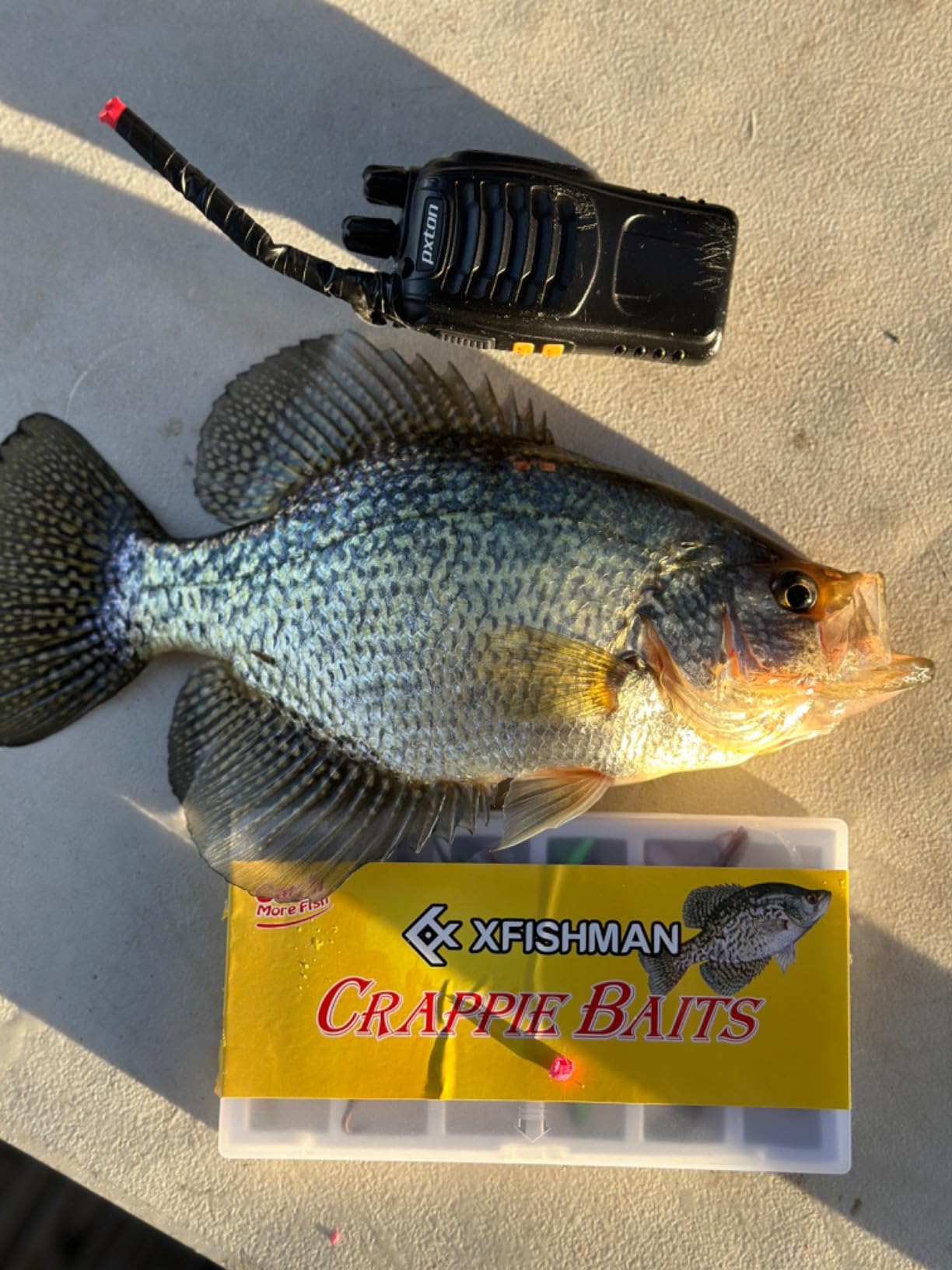 B08ZLTZ5C2 Customer Photo 2