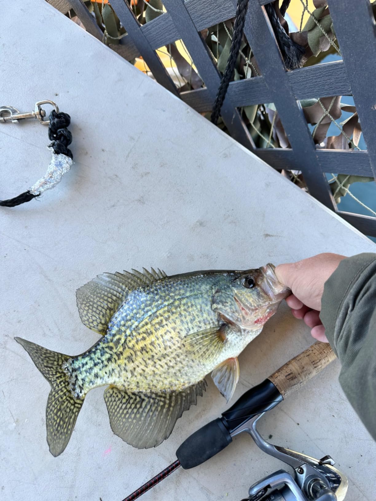 B08ZLTZ5C2 Customer Photo 4