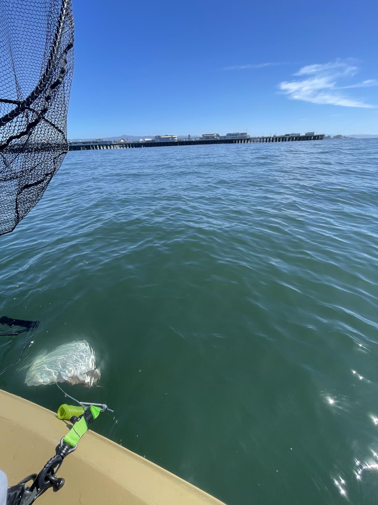 B091Y3W4KD Customer Photo 1