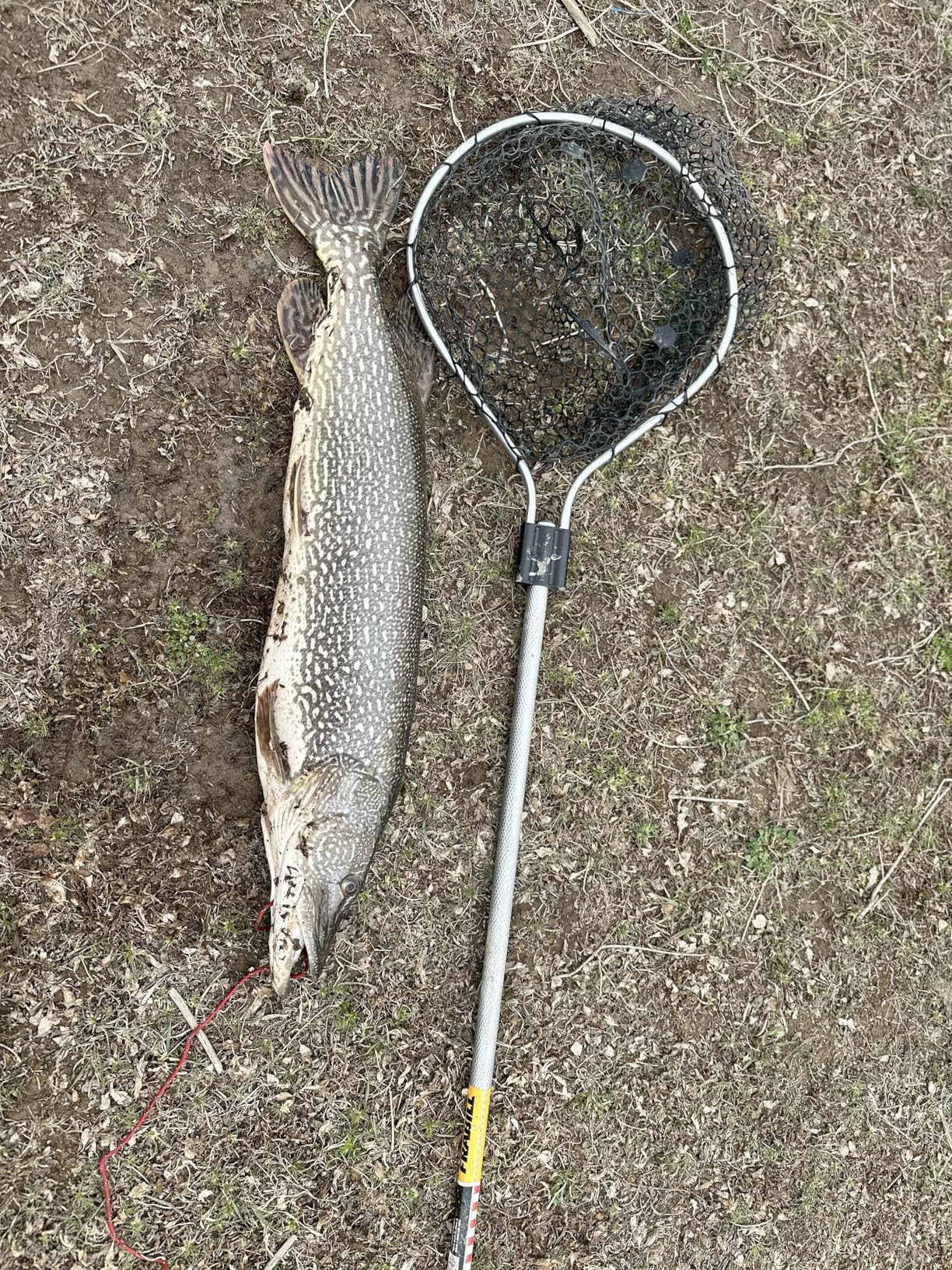 B09B72QVXZ Customer Photo 2