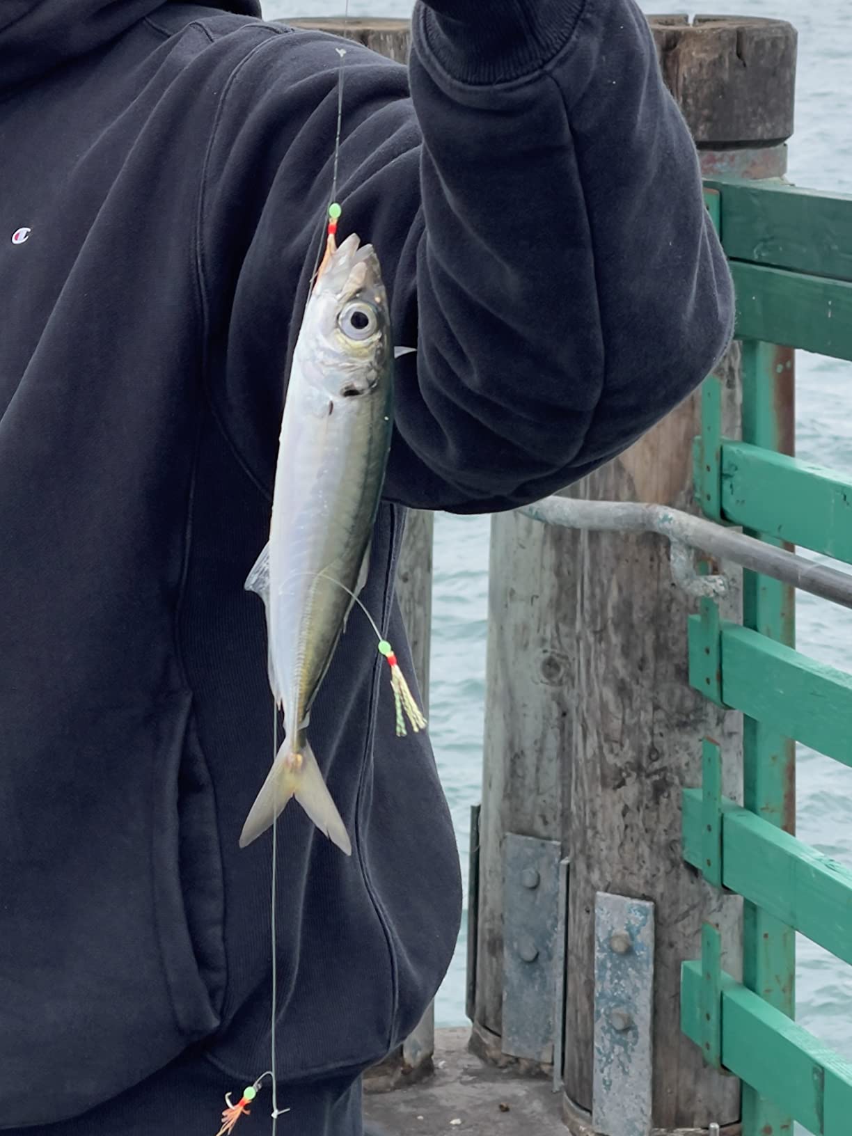 B09JP6SSKG Customer Photo 2