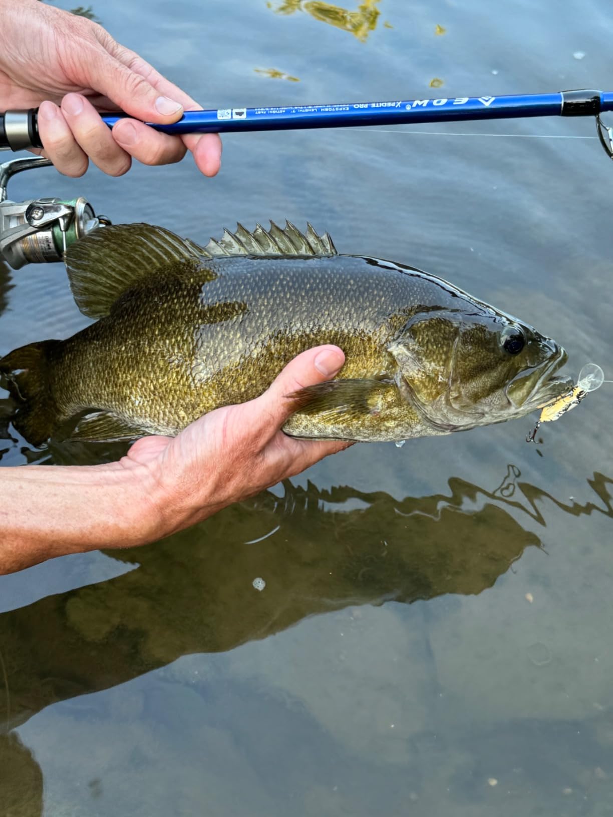 B09SNVD2HP Customer Photo 1