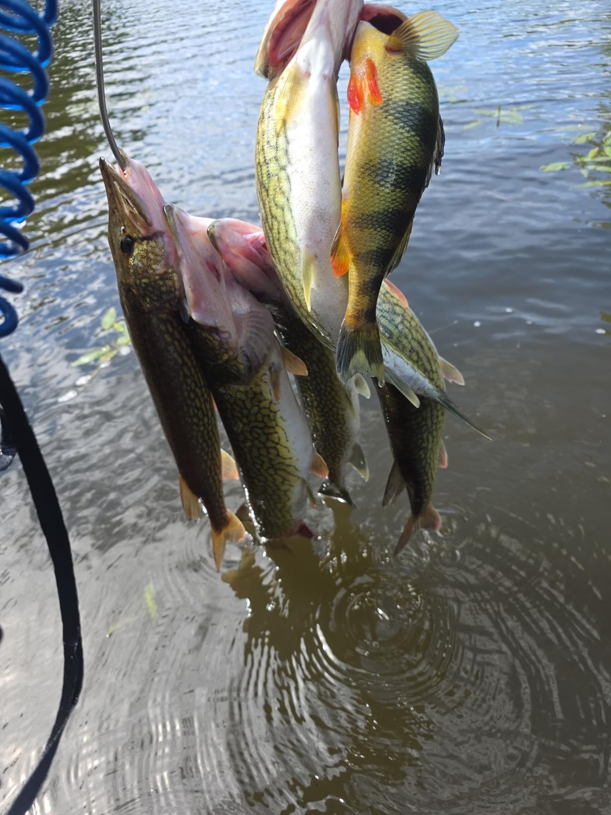 B09VRFDFTC Customer Photo 1