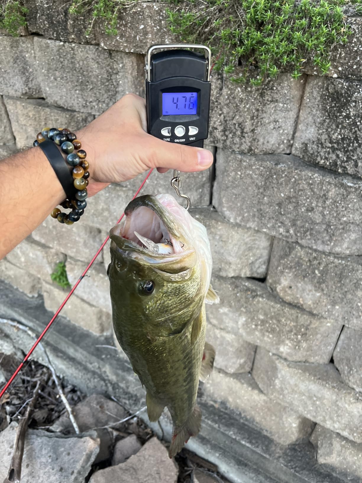 B09X44LYL3 Customer Photo 2