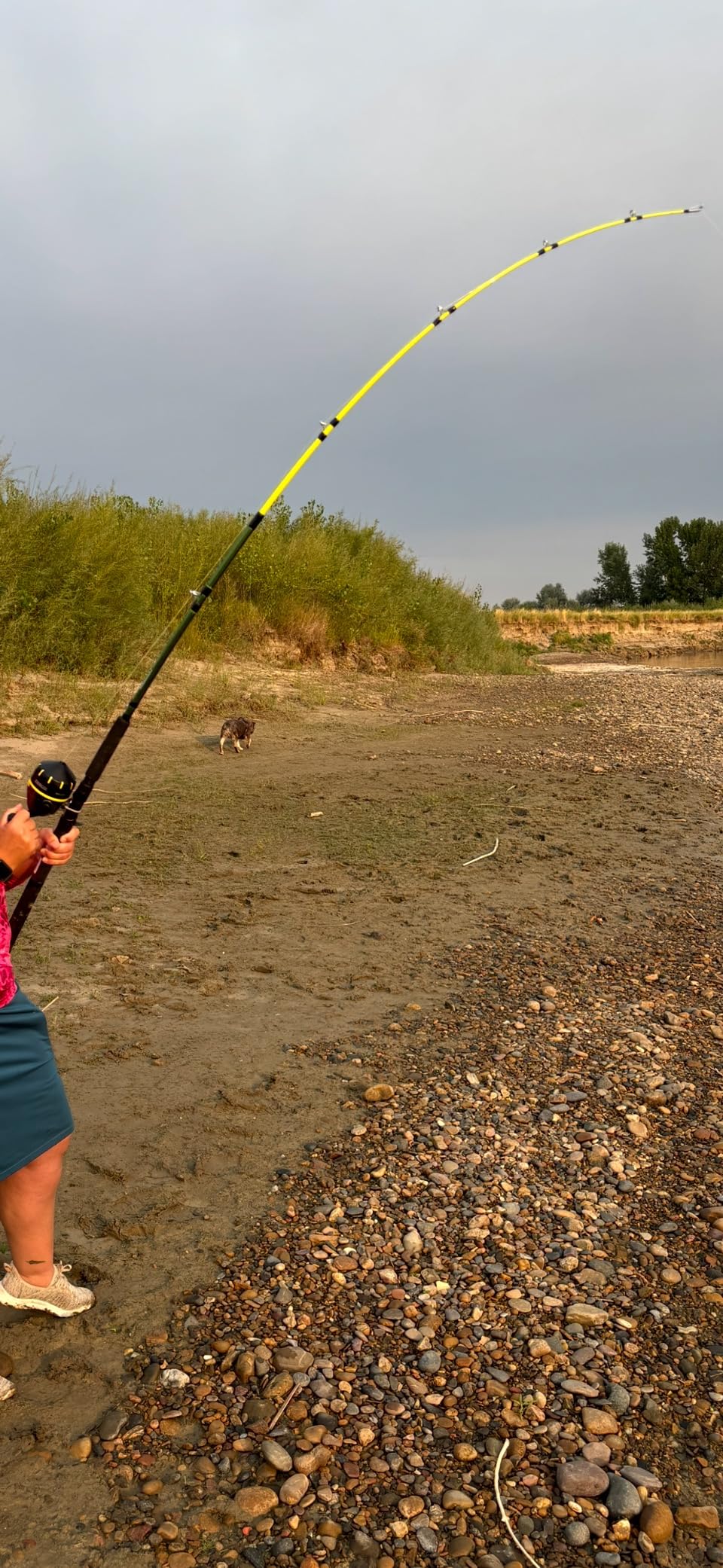 B0B169CRLY Customer Photo 1