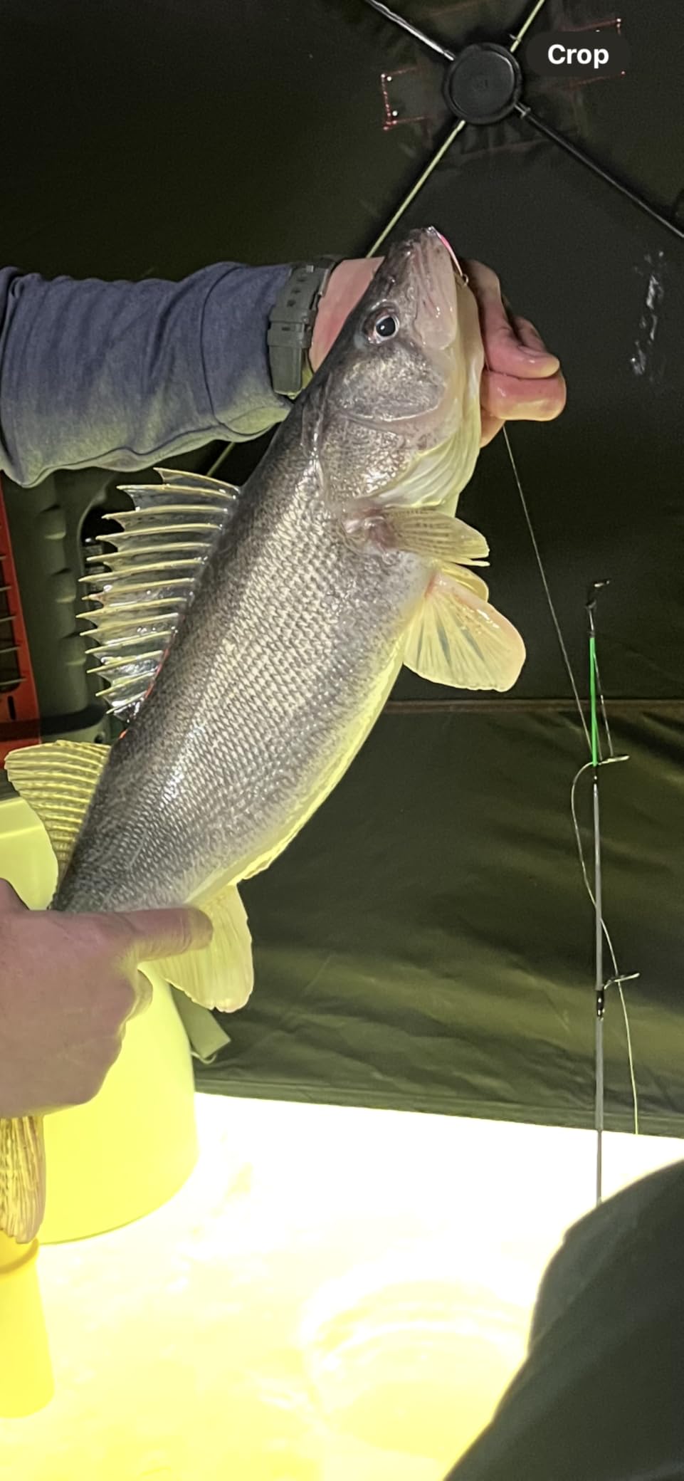 B0BBTR1QT7 Customer Photo 1