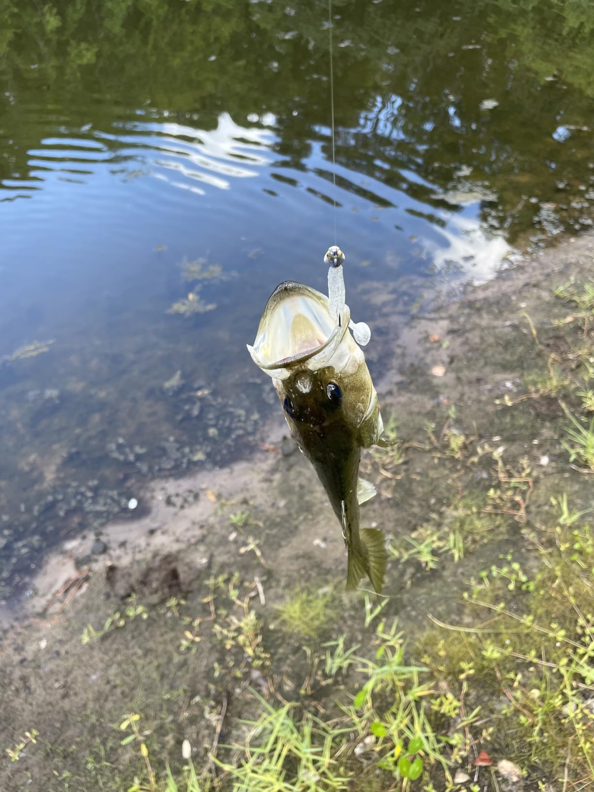 B0BSR4HDPR Customer Photo 1