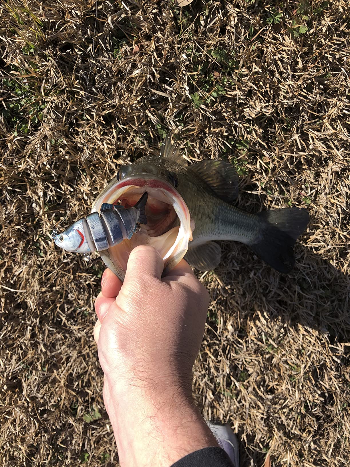 B0BYRCTP6M Customer Photo 1