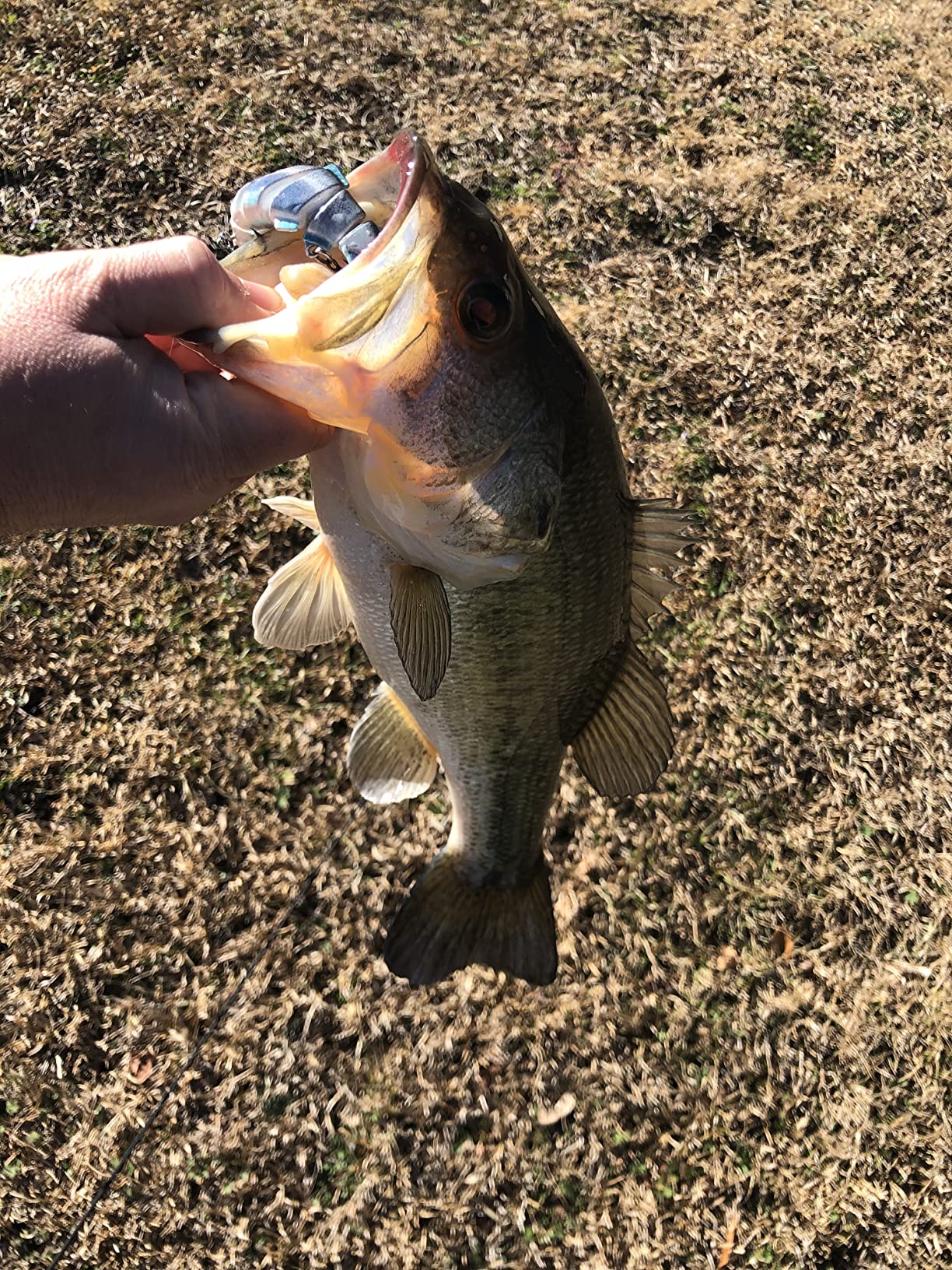 B0BYRCTP6M Customer Photo 2