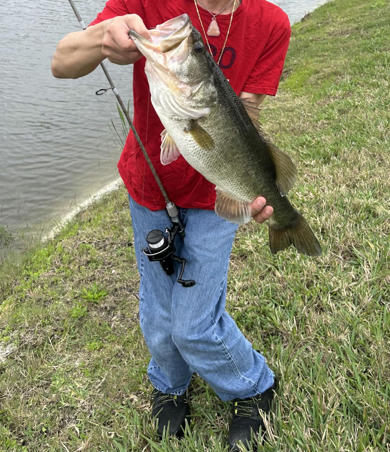 B0CKHLTV13 Customer Photo 1