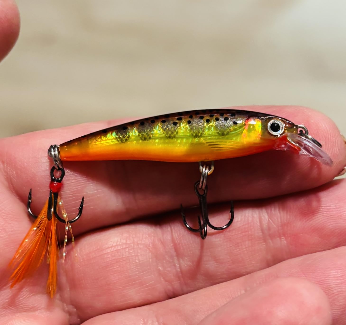 B0CQPPJXPH Customer Photo 1