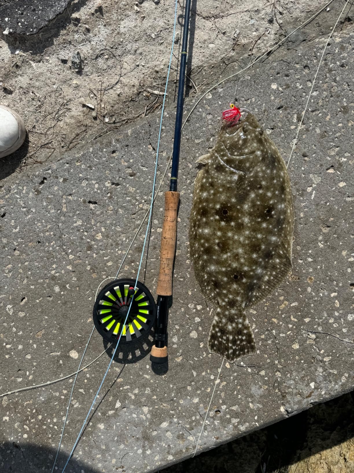 B0CS712LRV Customer Photo 2