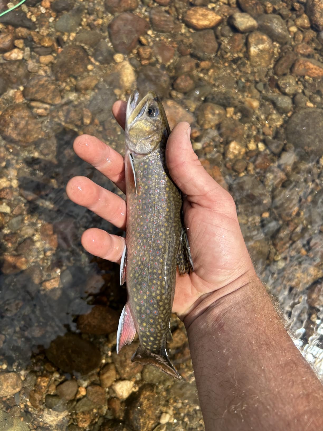 B0CYW97TP3 Customer Photo 2