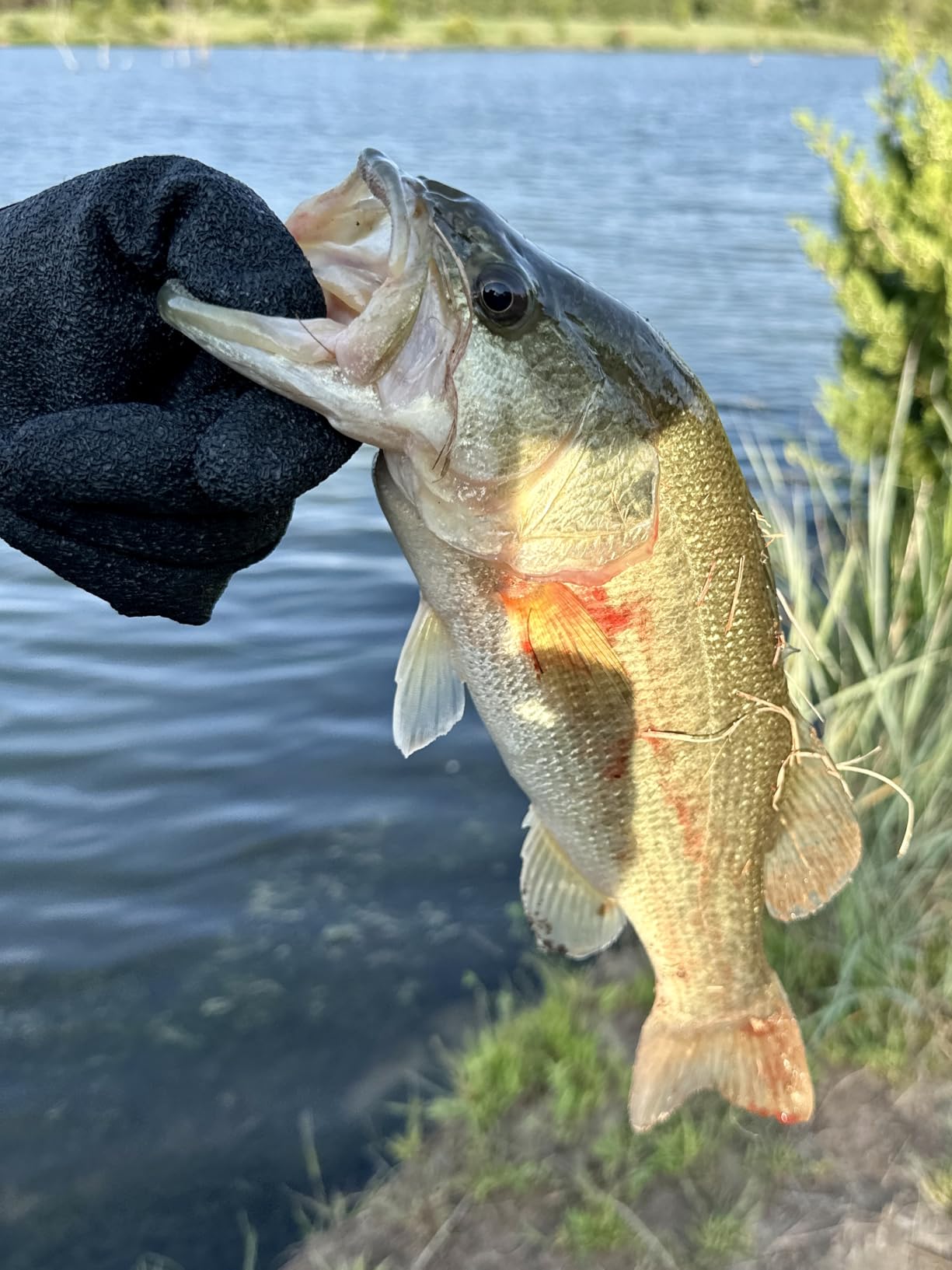 B0D6R4L2D8 Customer Photo 1