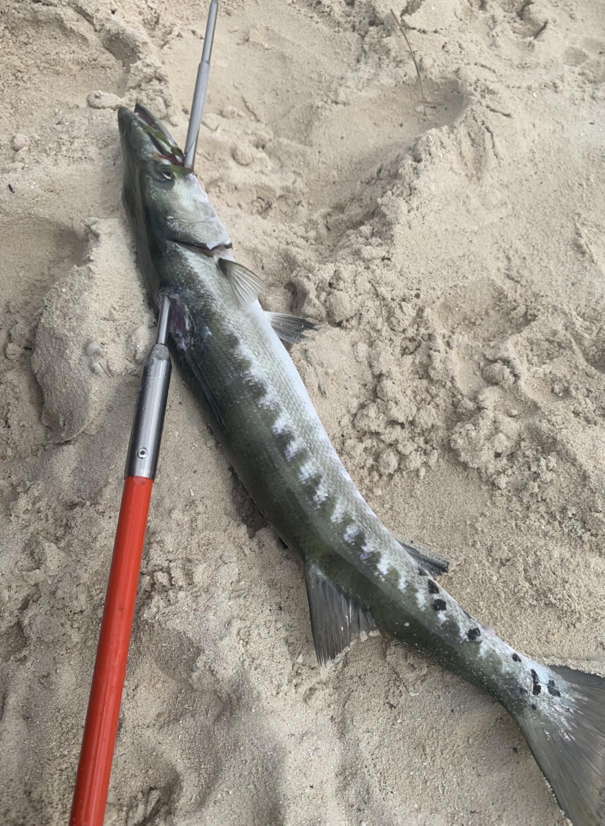 B0DMSS23ZY Customer Photo 1