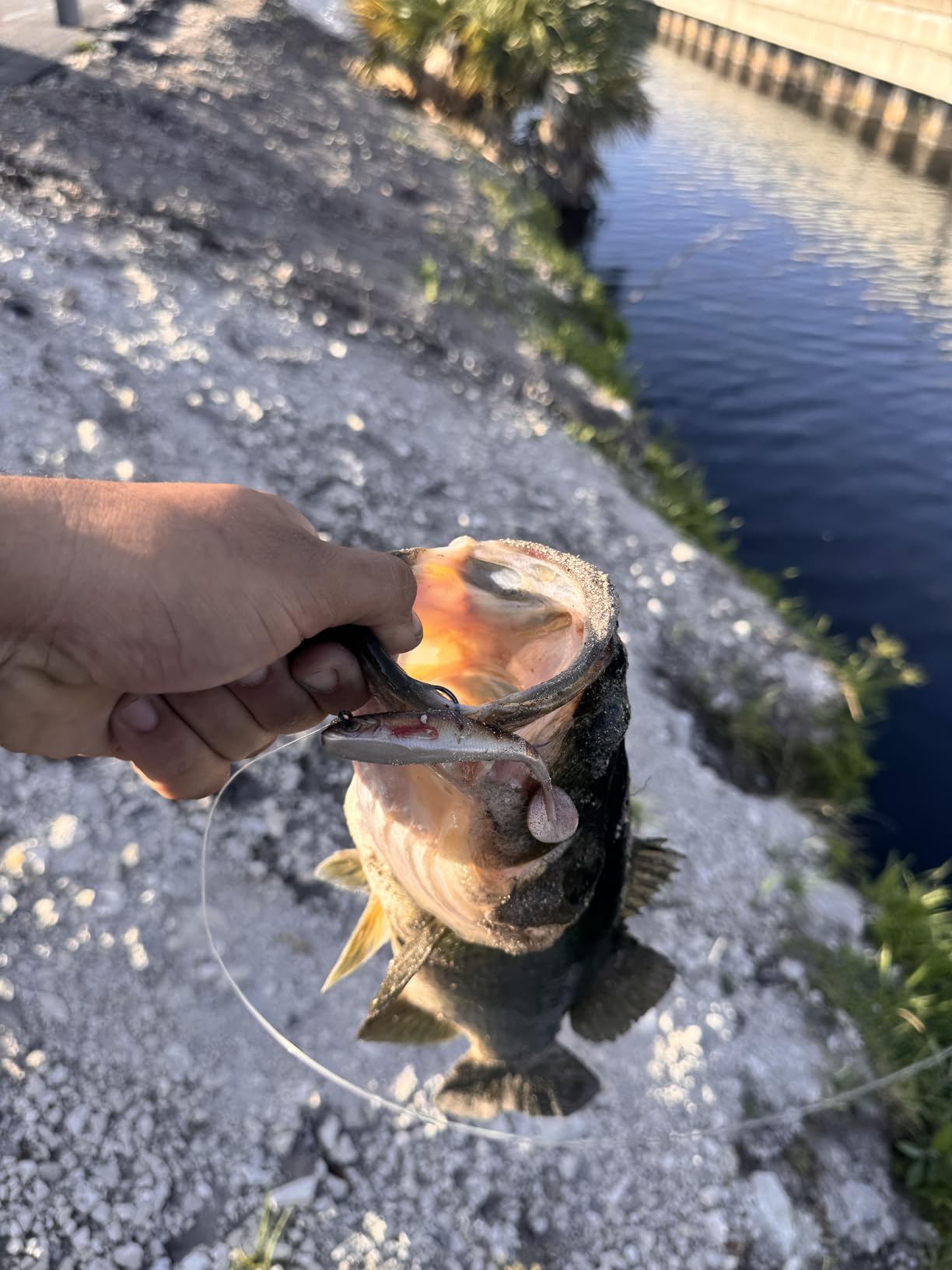 B0F1CKJBF1 Customer Photo 2