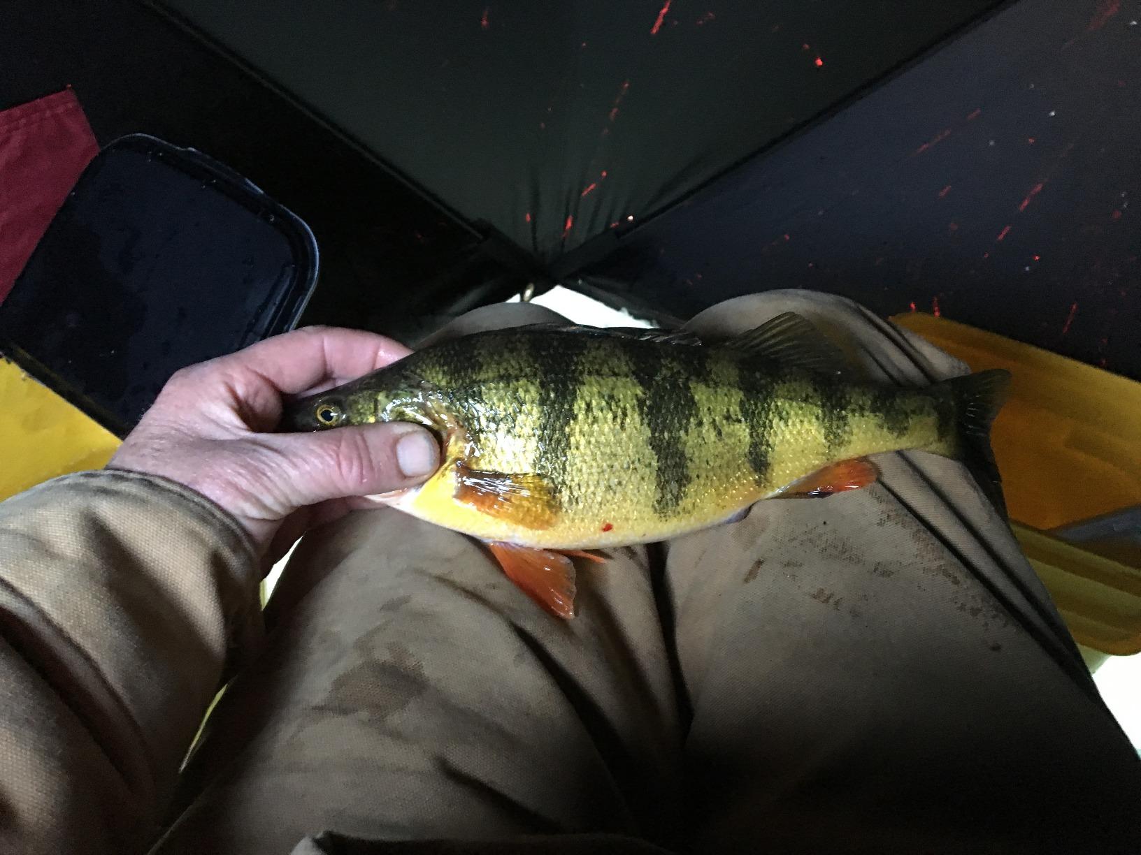 Nordic Legend Ice Auger and Shelter - Customer Photo